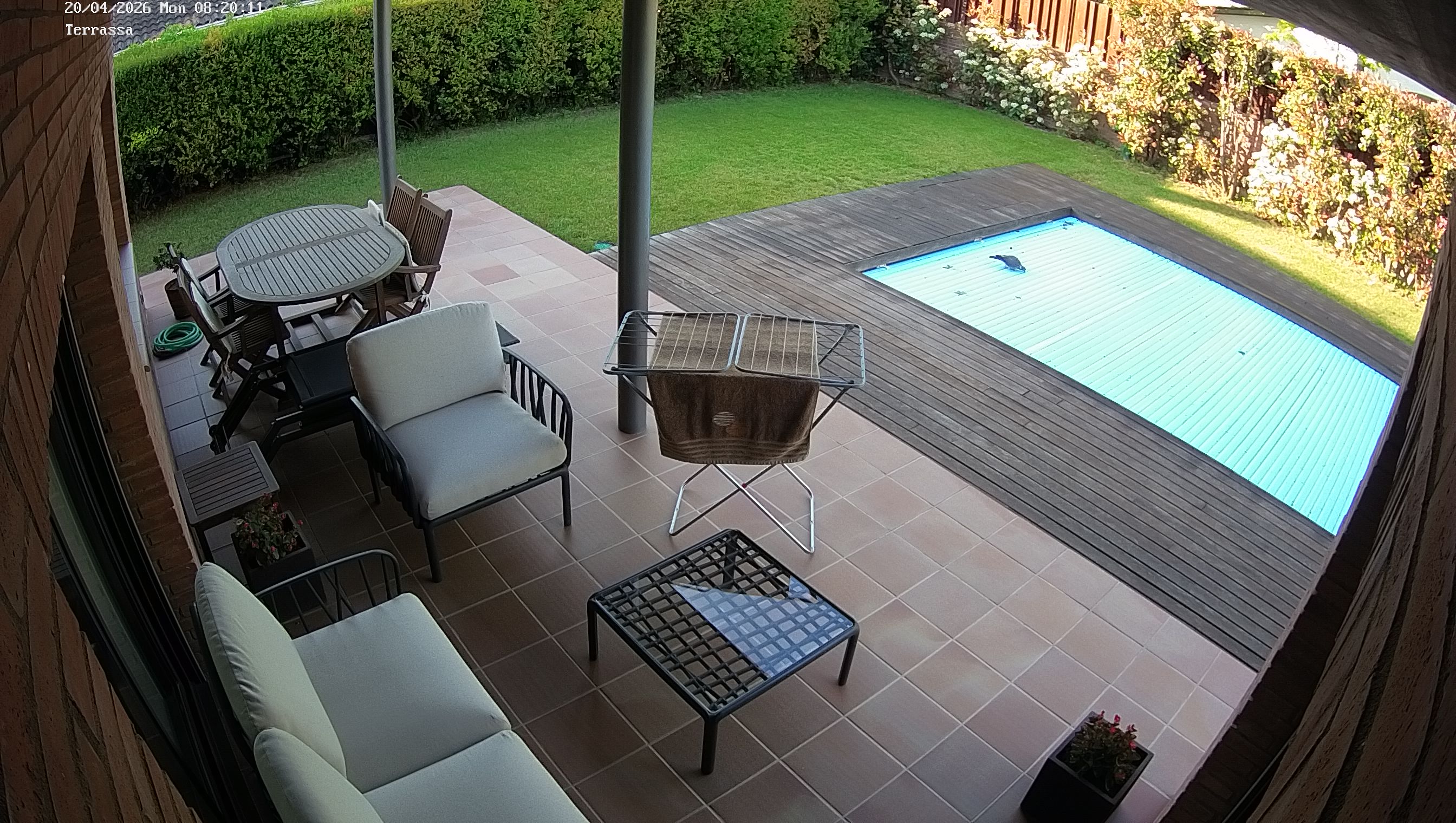 Webcam 1 Screen Capture