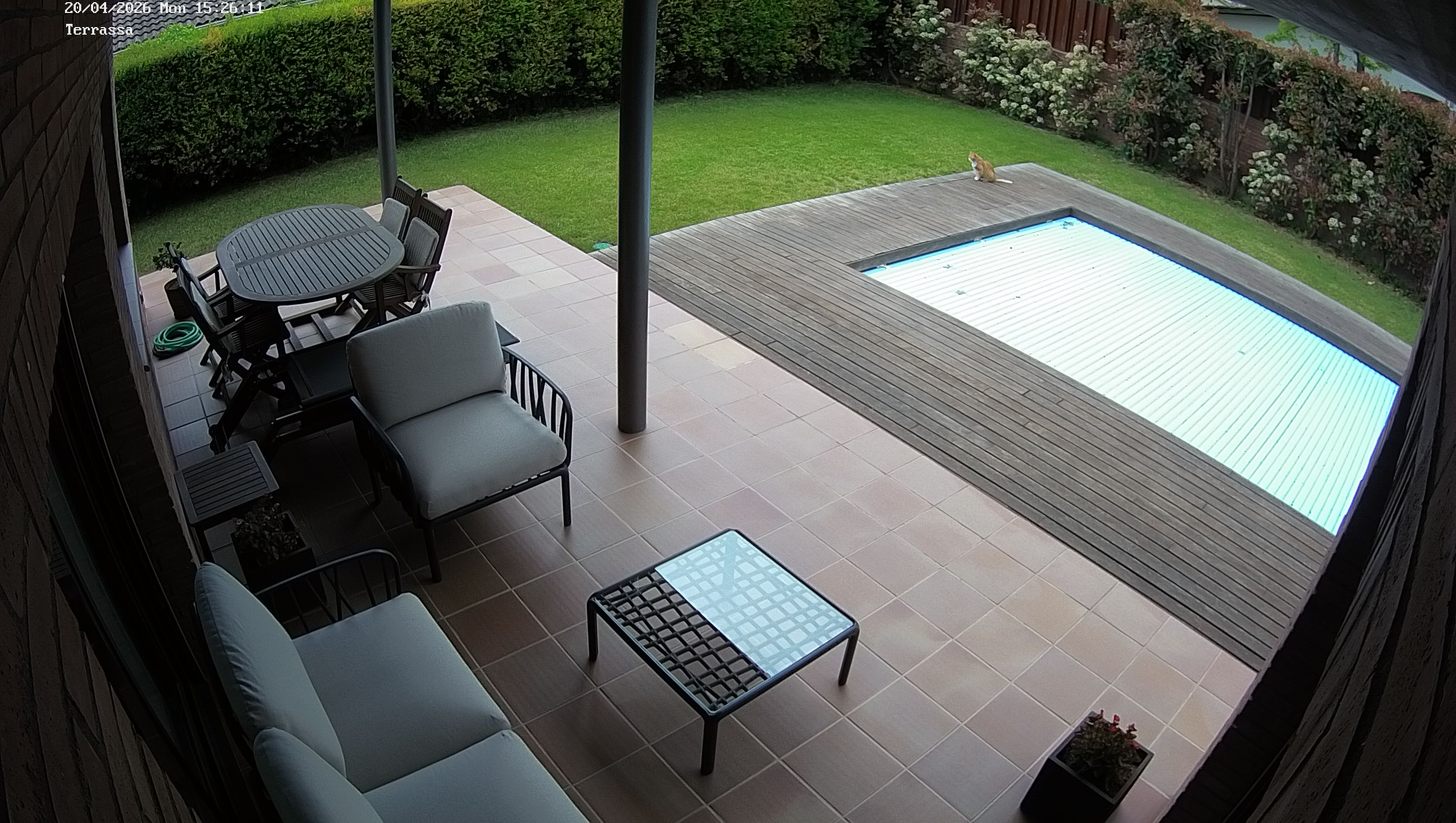 Webcam 1 Screen Capture