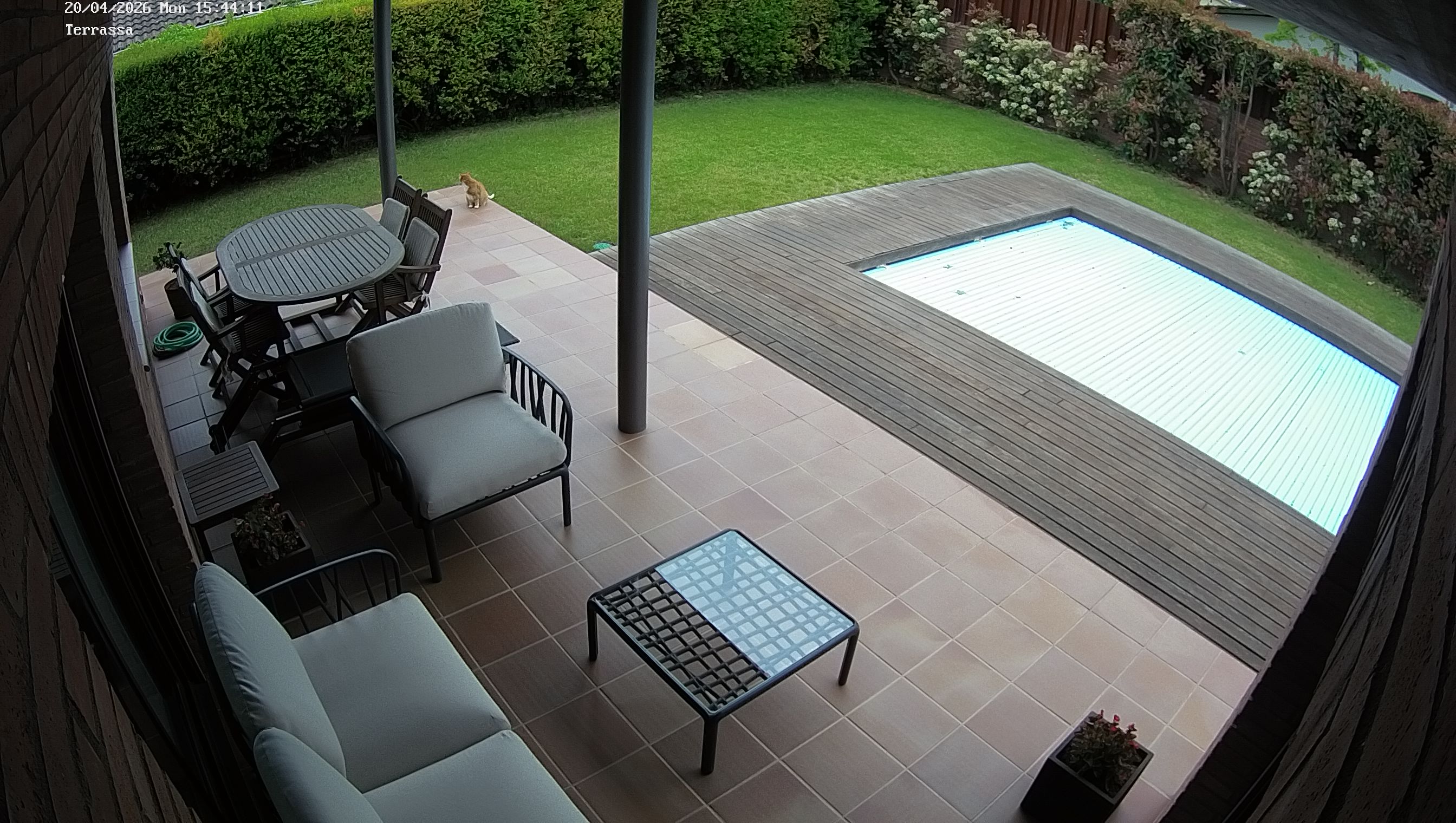 Webcam 1 Screen Capture