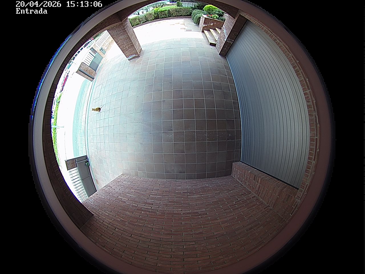 Webcam 2 Screen Capture