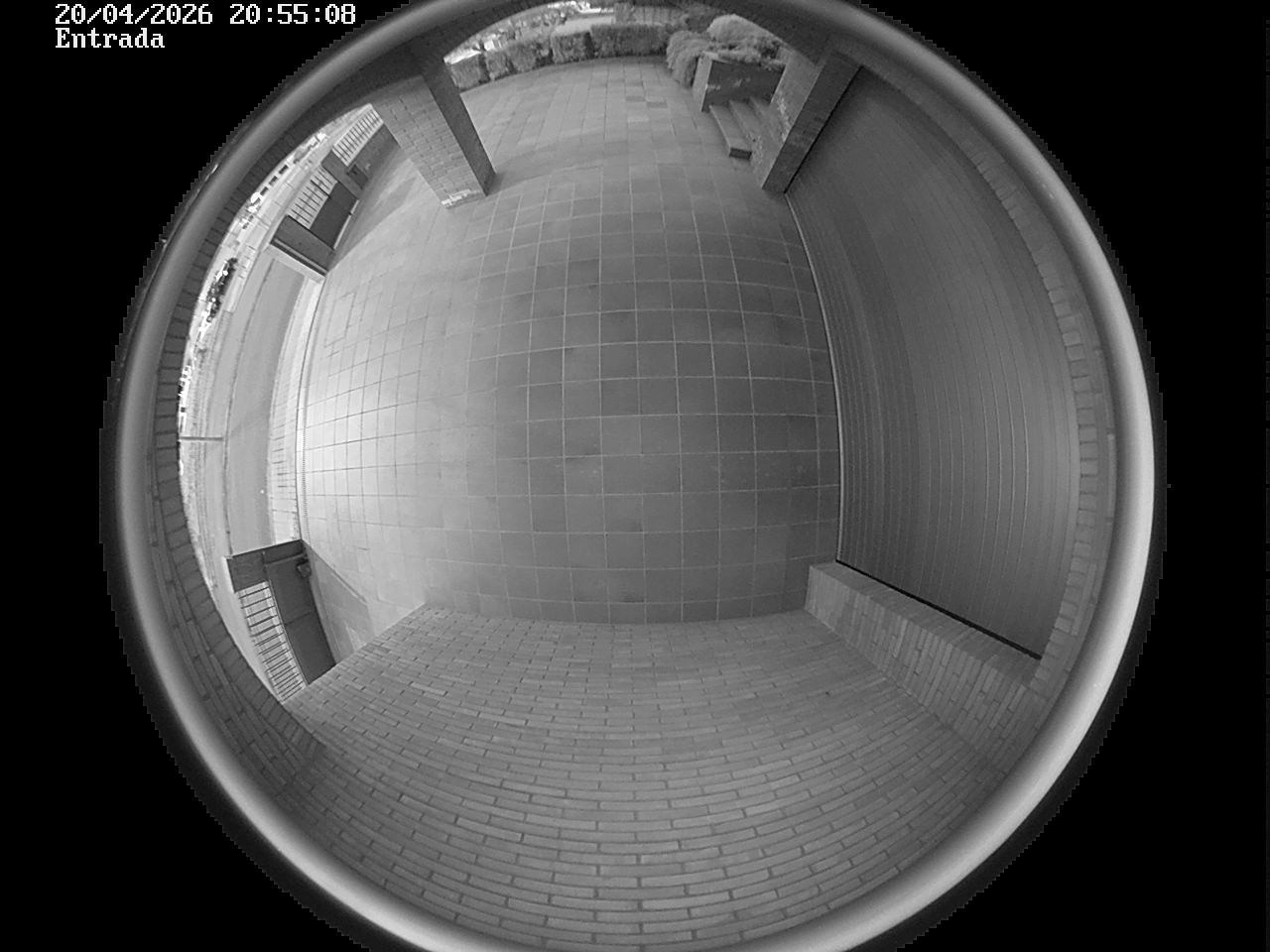 Webcam 2 Screen Capture