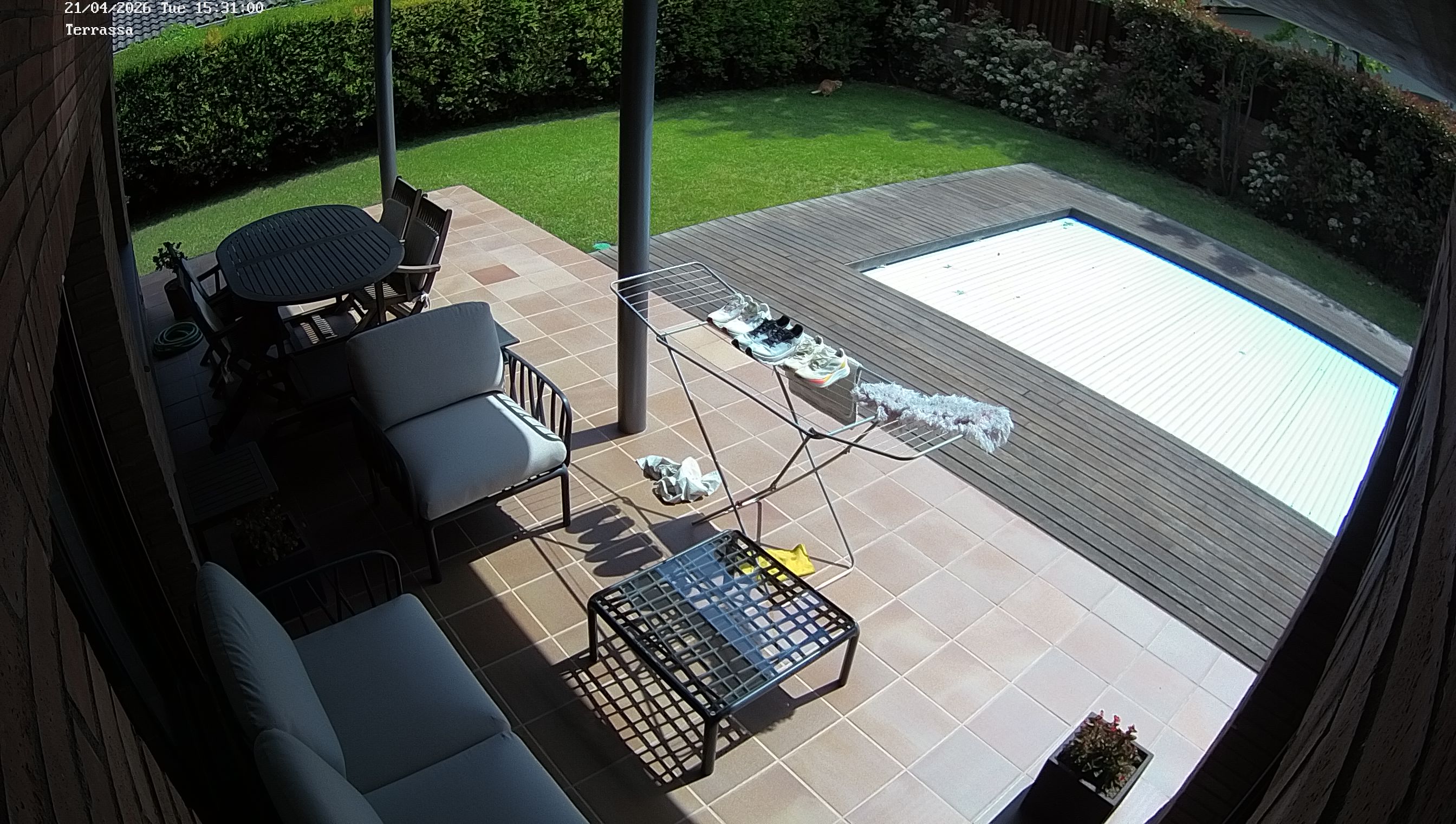 Webcam 1 Screen Capture