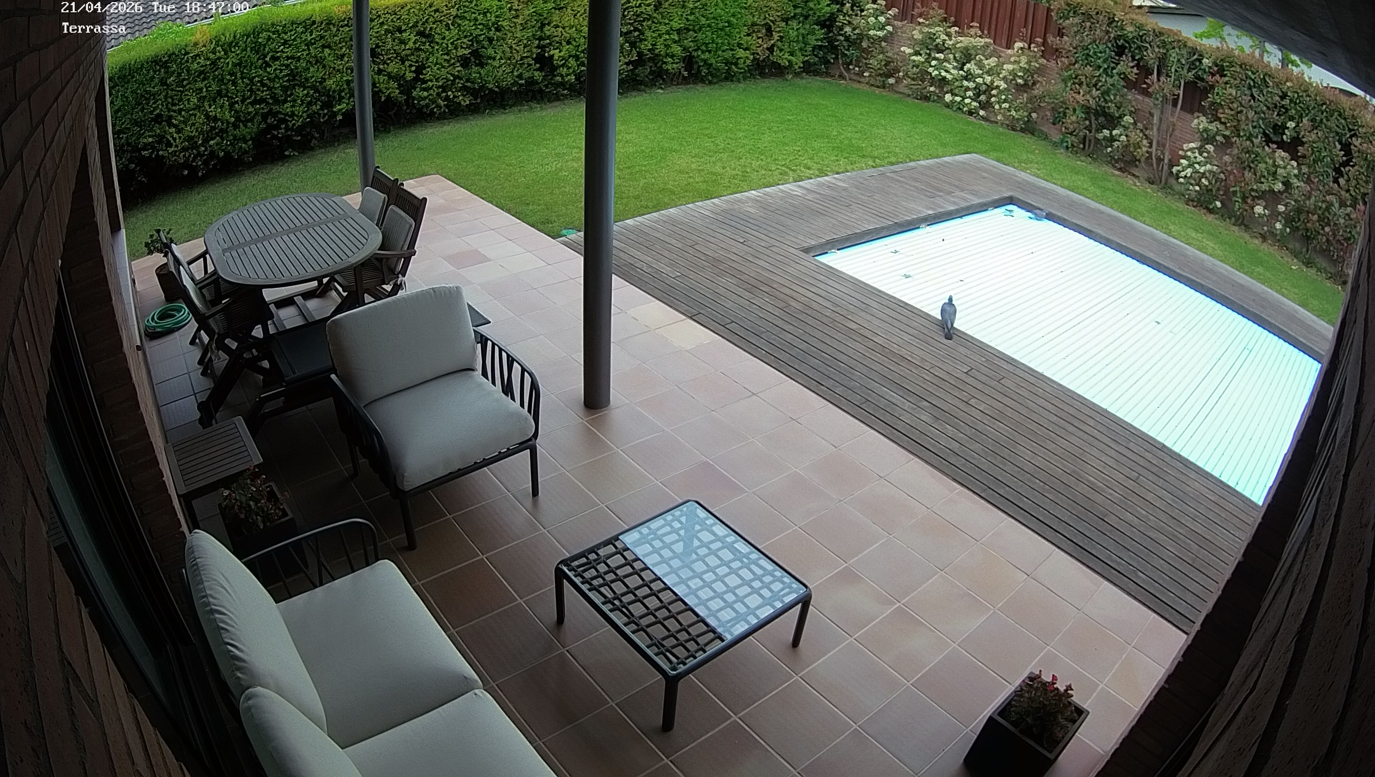 Webcam 1 Screen Capture