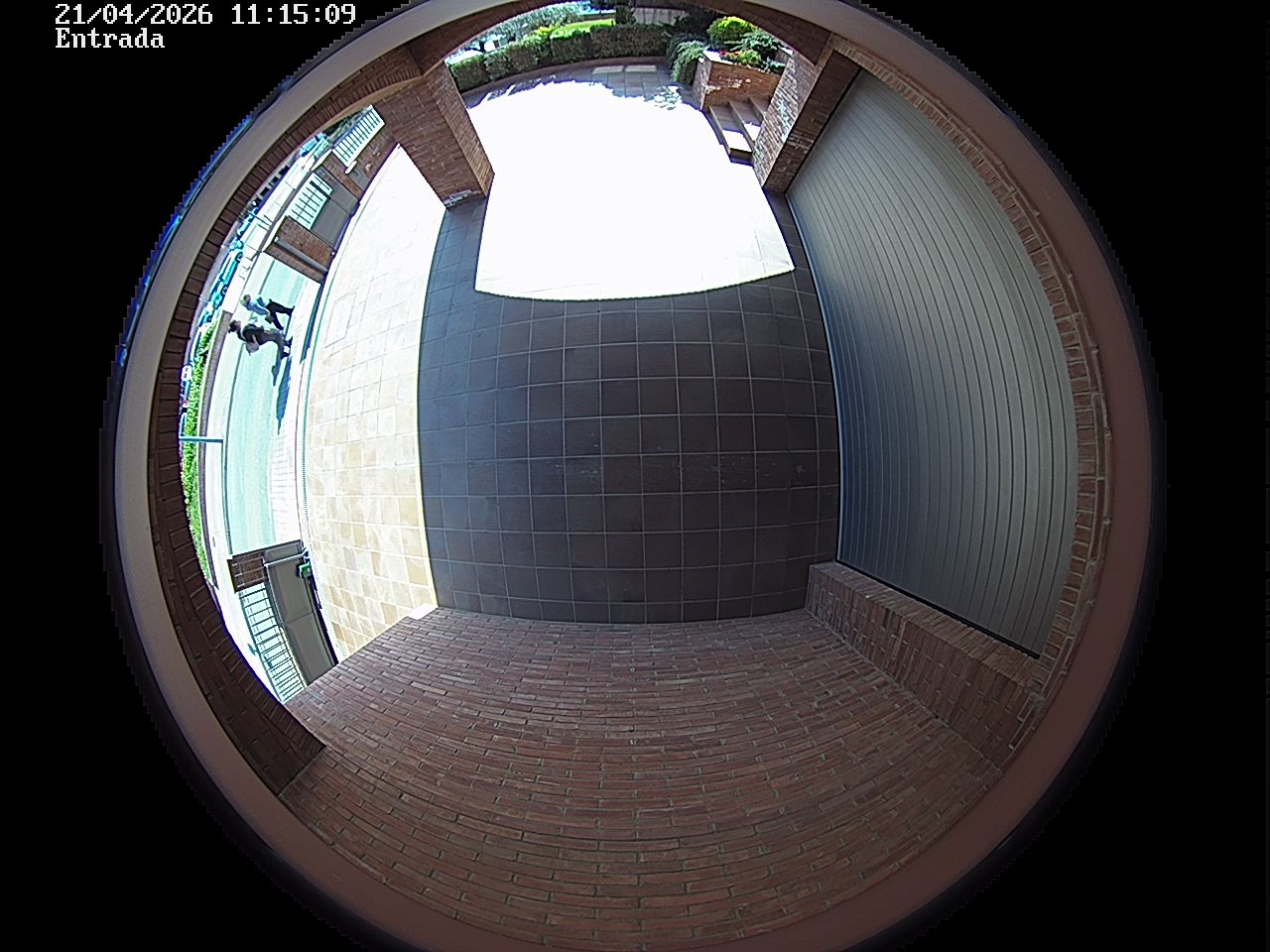 Webcam 2 Screen Capture