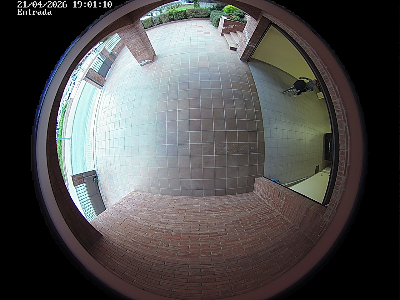 Webcam 2 Screen Capture