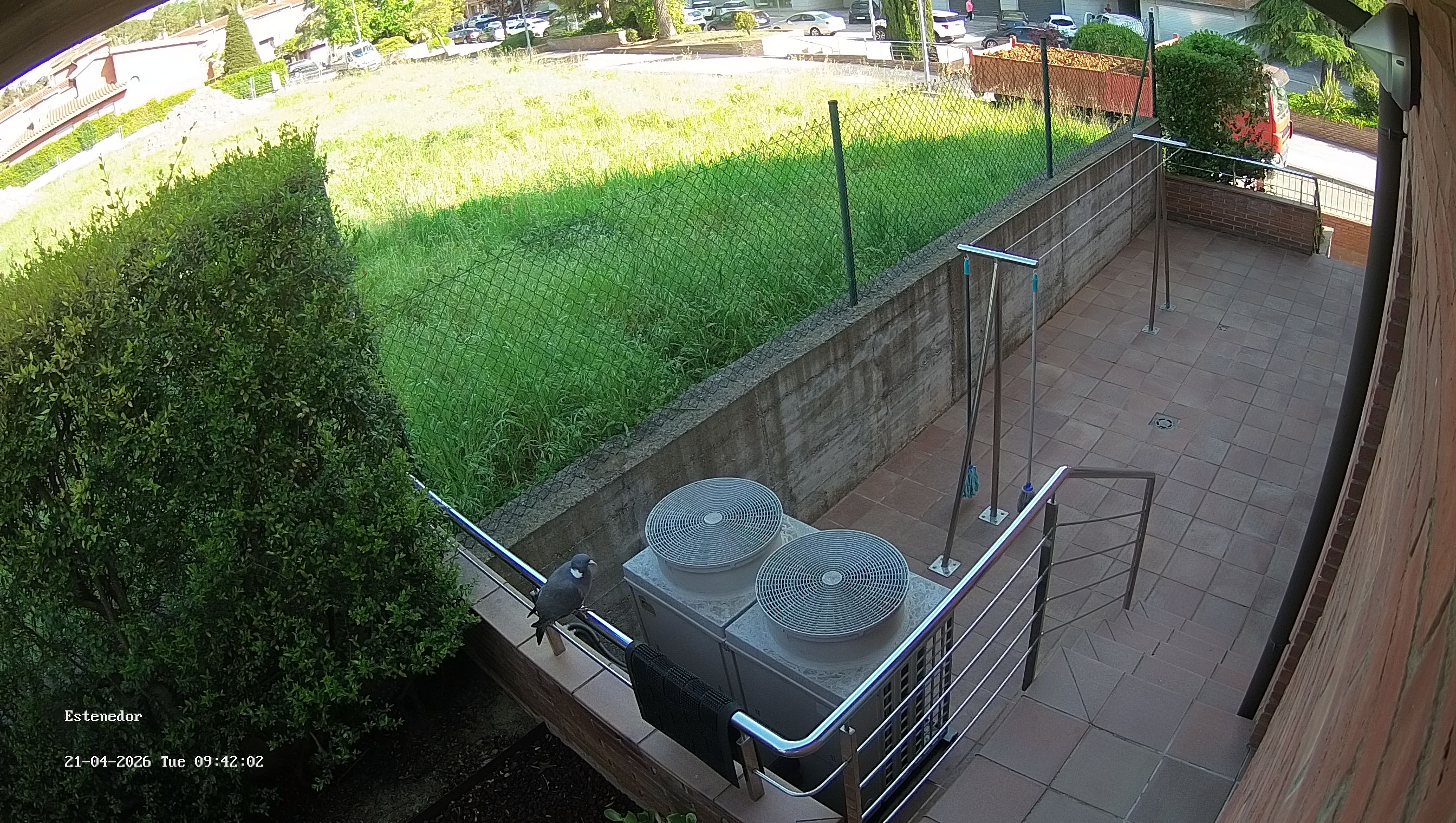 Webcam 2 Screen Capture