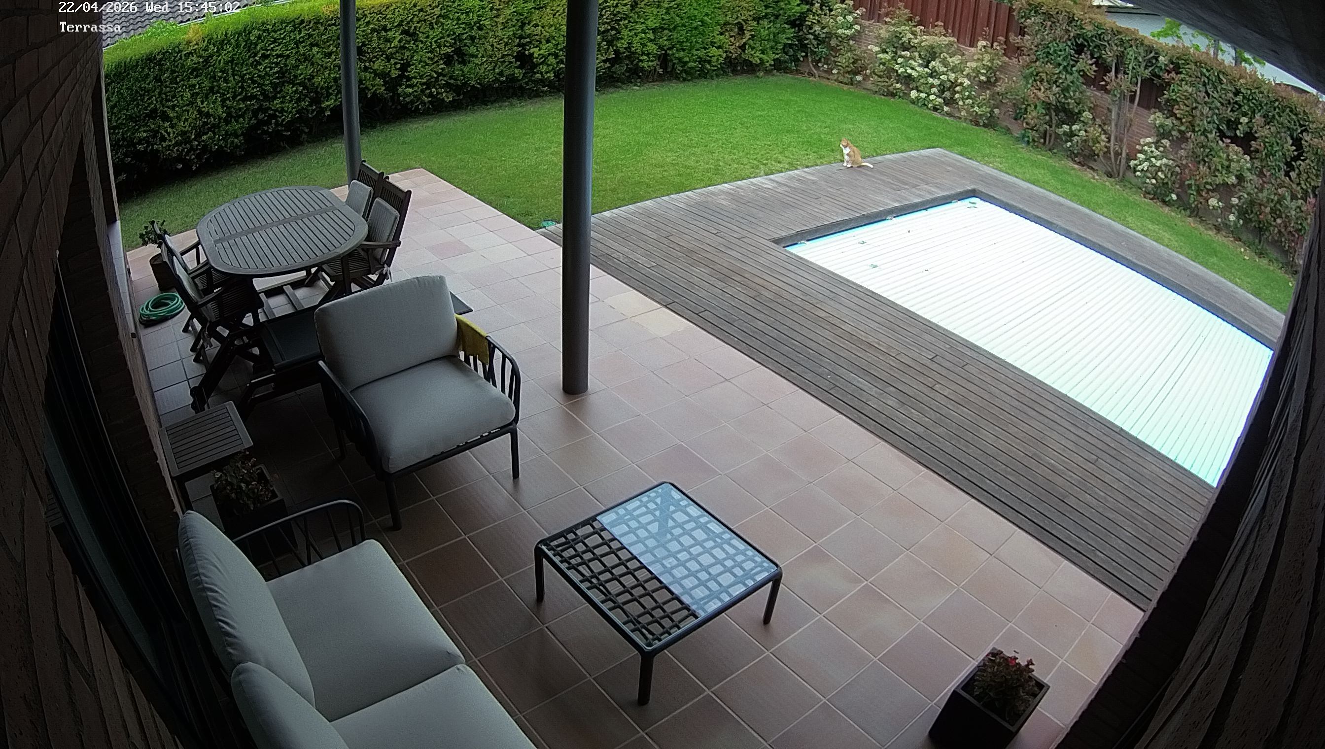 Webcam 1 Screen Capture