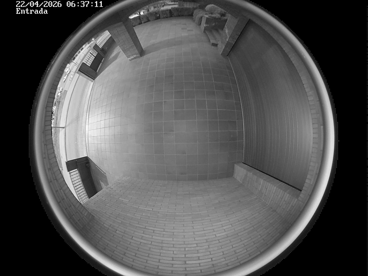 Webcam 2 Screen Capture