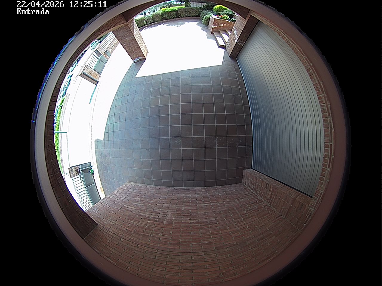 Webcam 2 Screen Capture