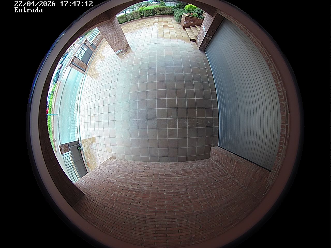 Webcam 2 Screen Capture