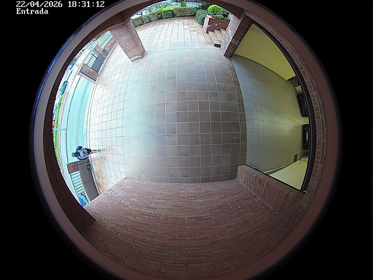 Webcam 2 Screen Capture