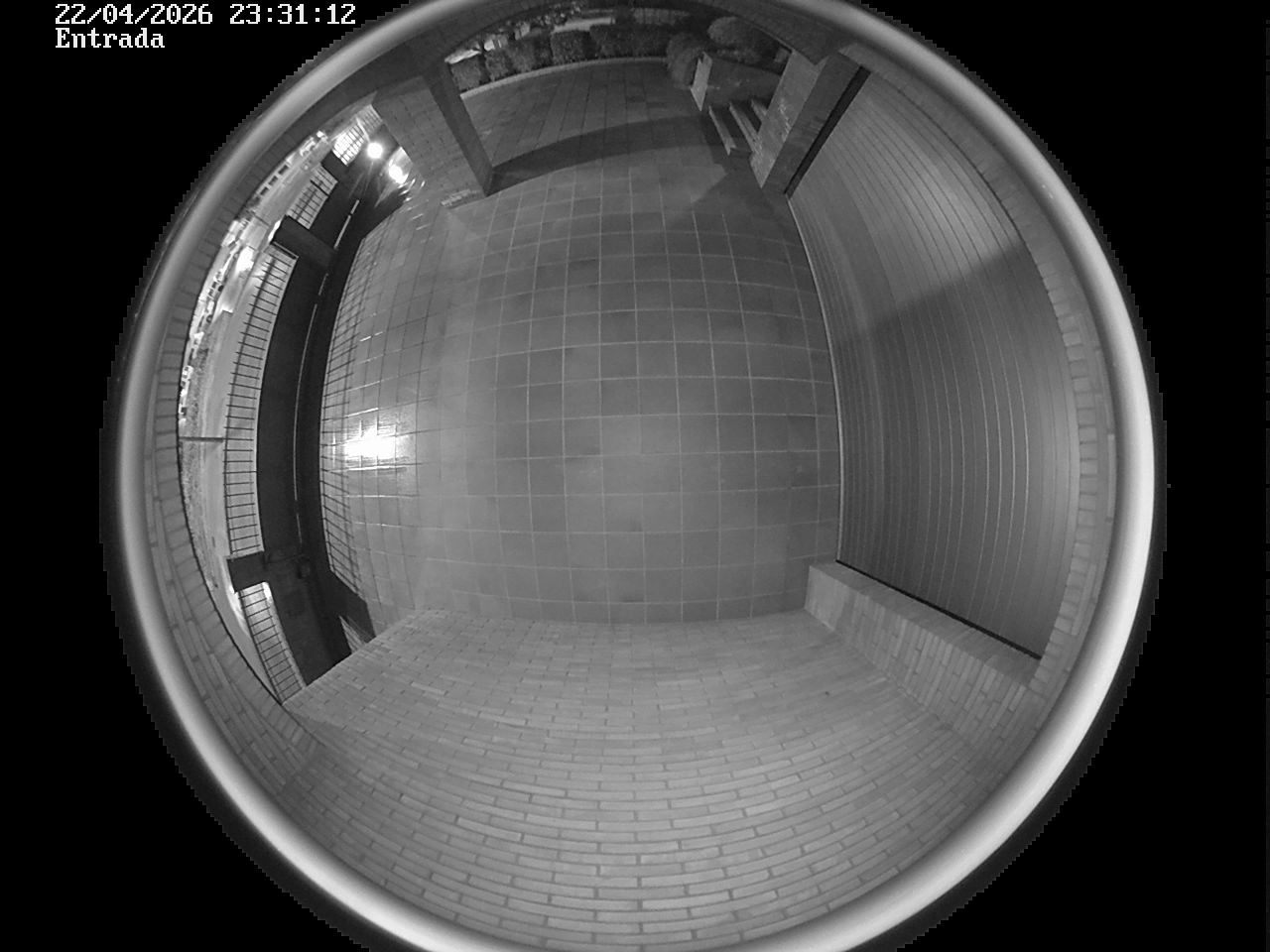 Webcam 2 Screen Capture