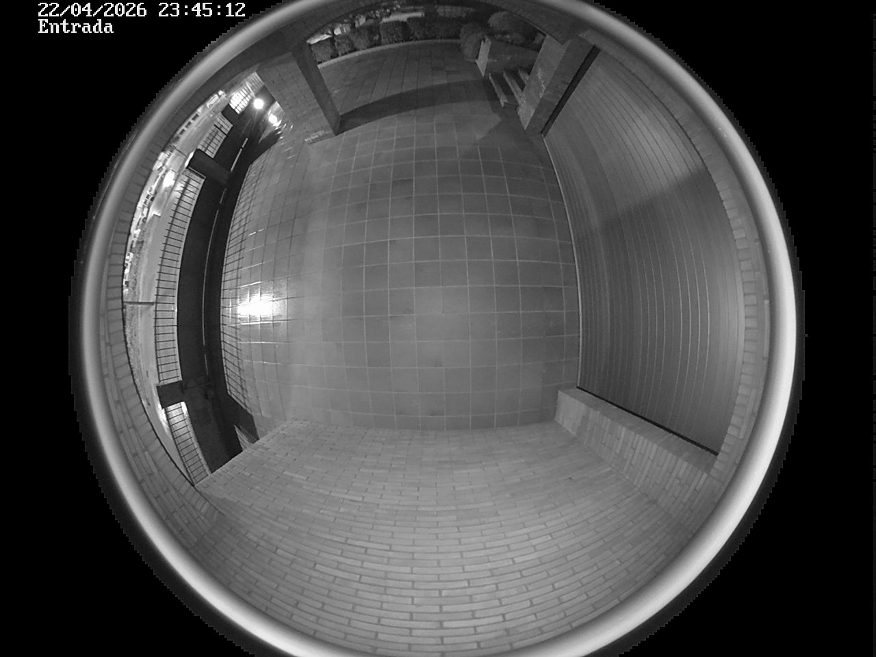 Webcam 2 Screen Capture