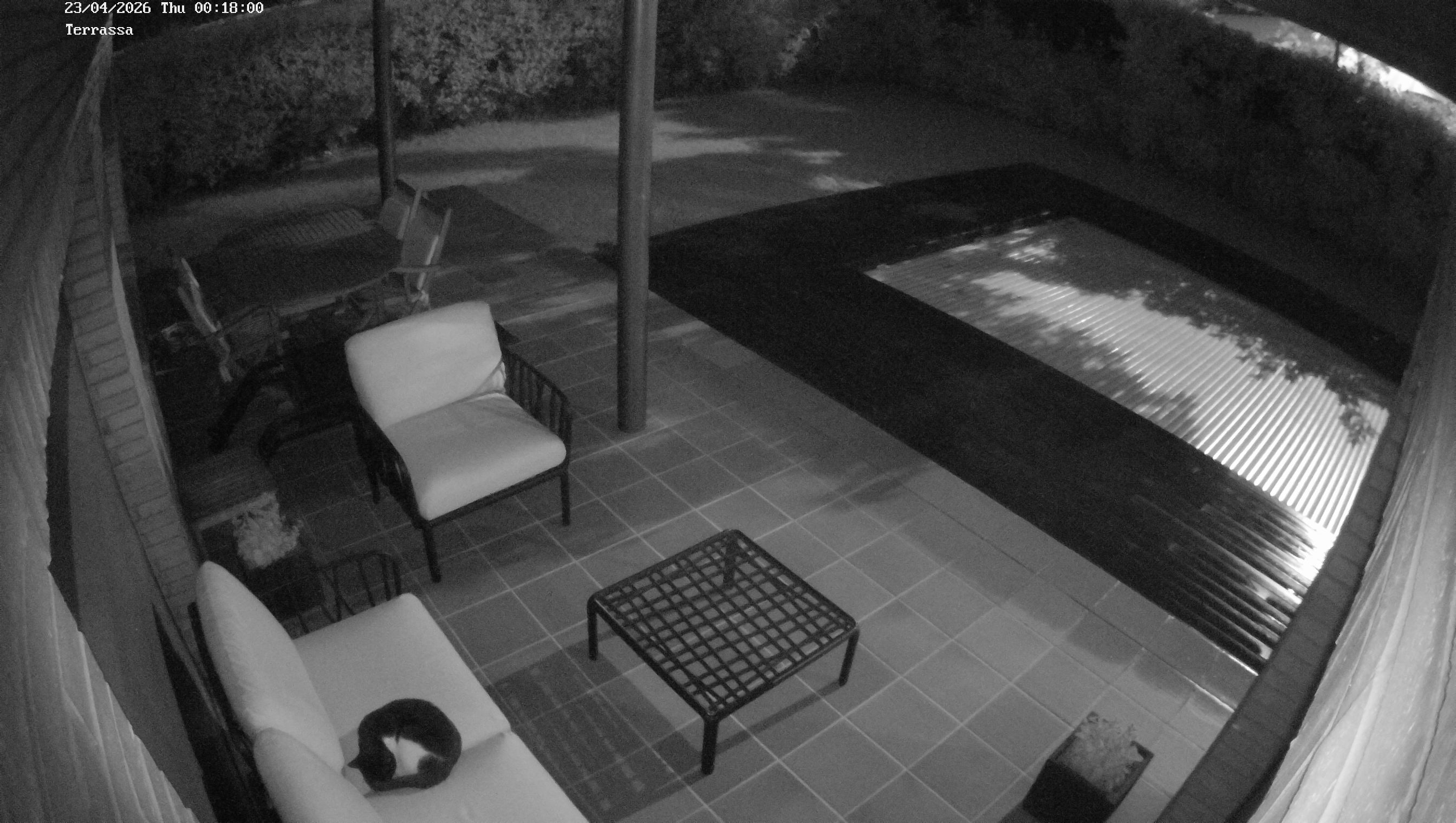 Webcam 1 Screen Capture