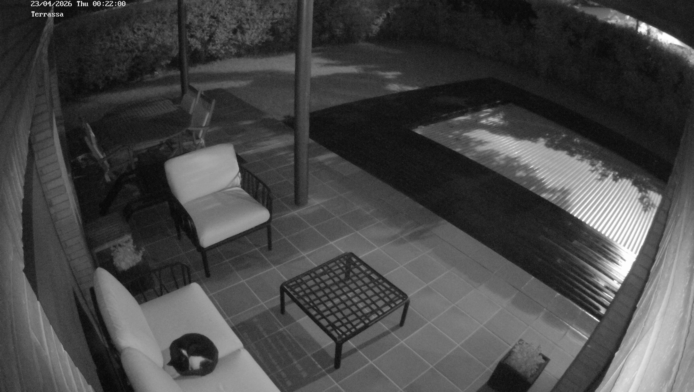 Webcam 1 Screen Capture