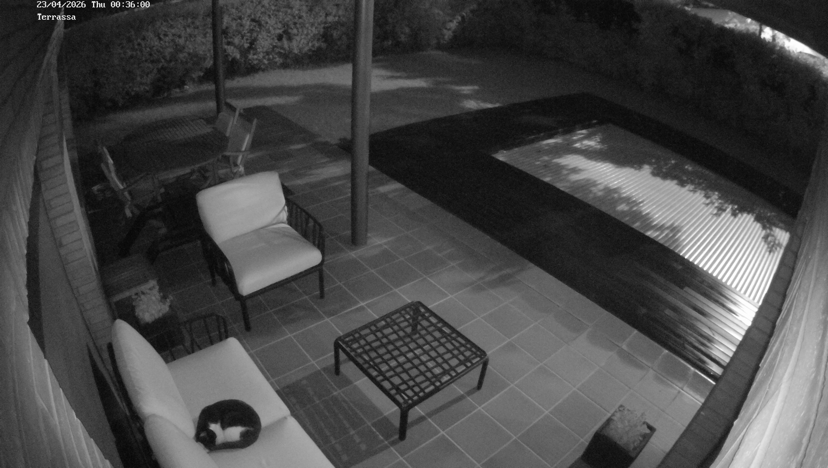 Webcam 1 Screen Capture