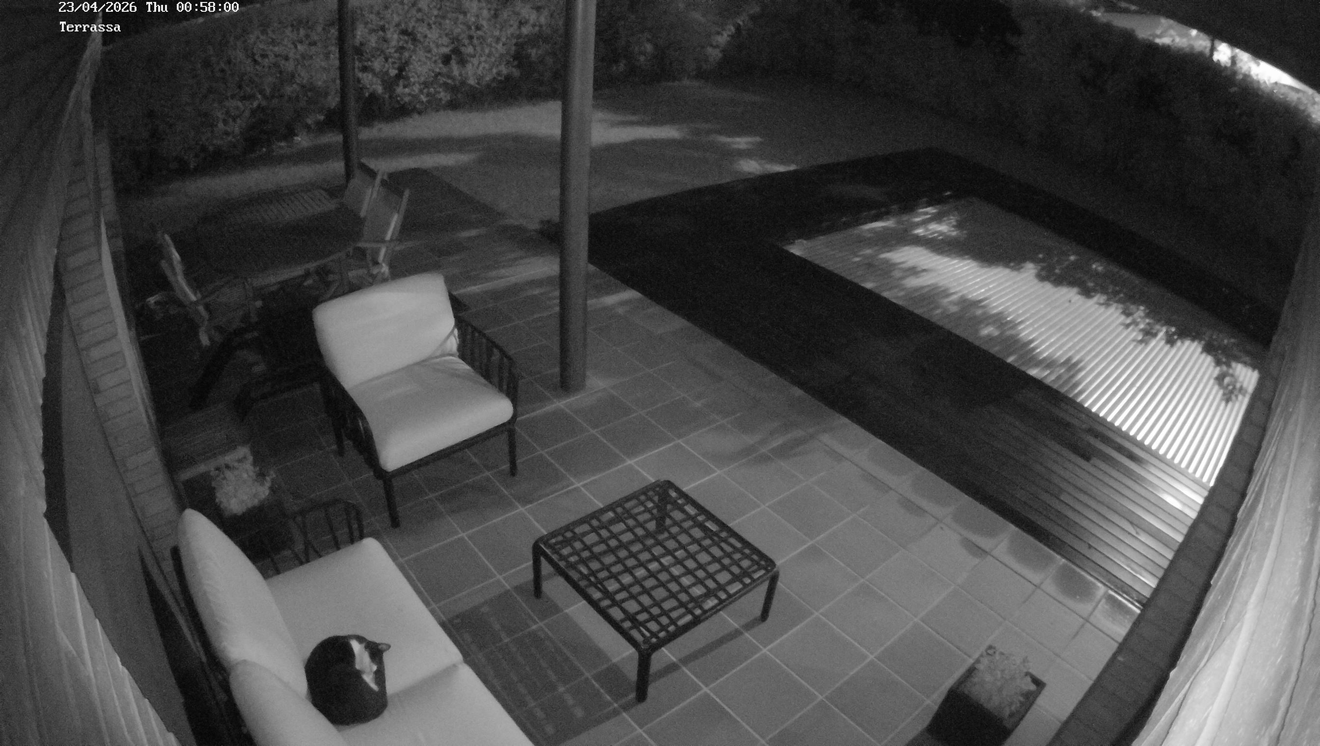 Webcam 1 Screen Capture