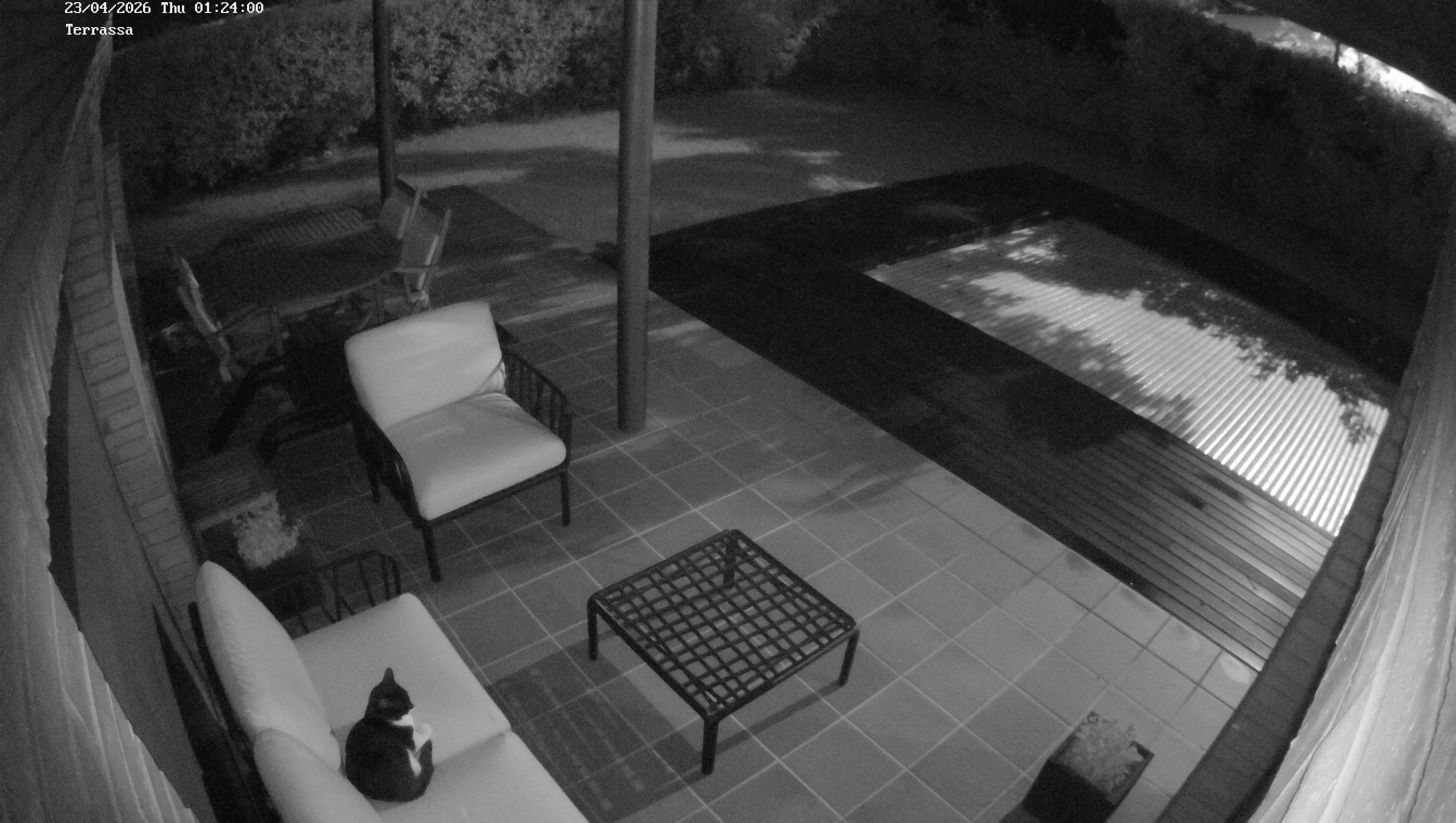 Webcam 1 Screen Capture