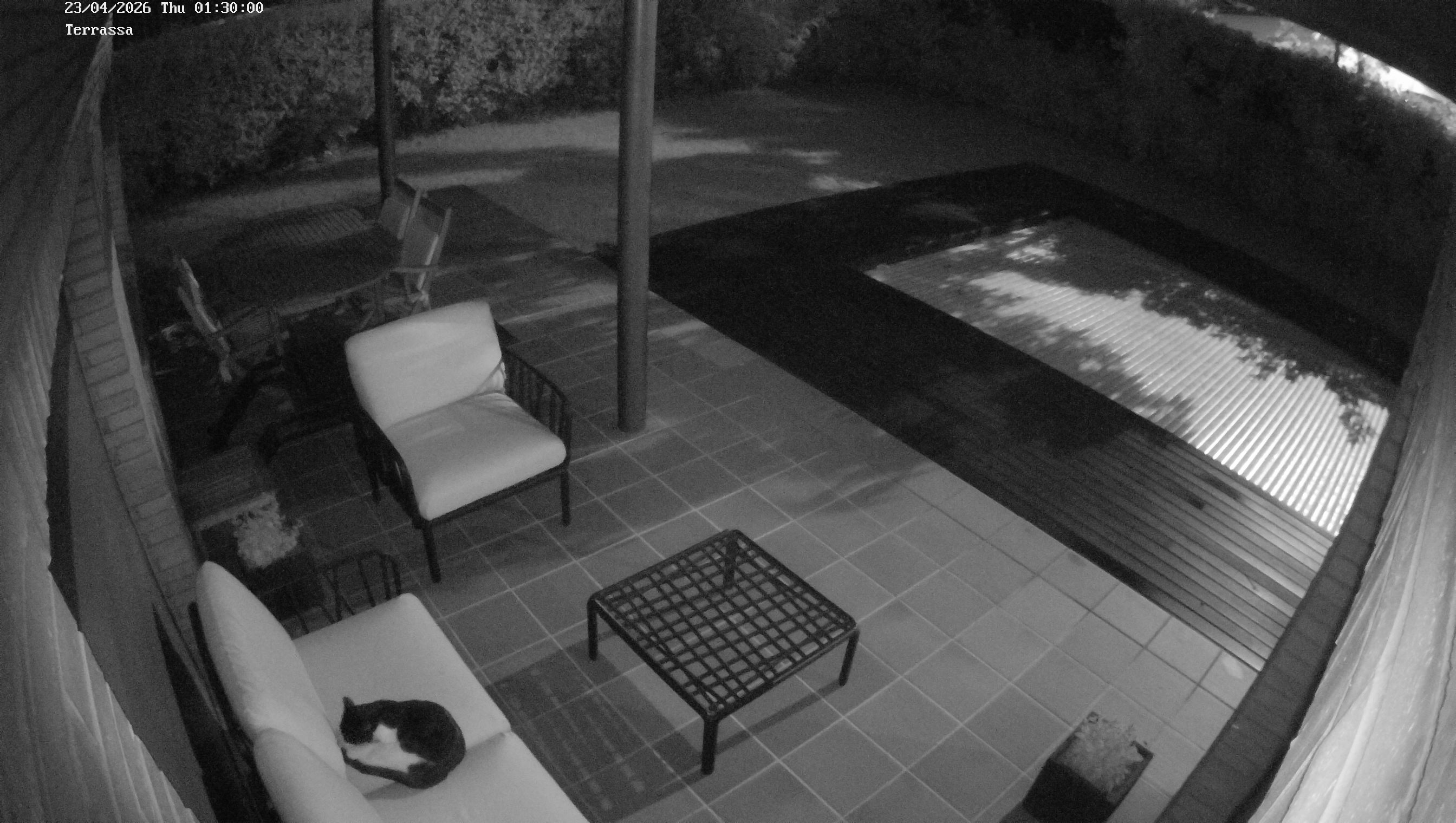 Webcam 1 Screen Capture