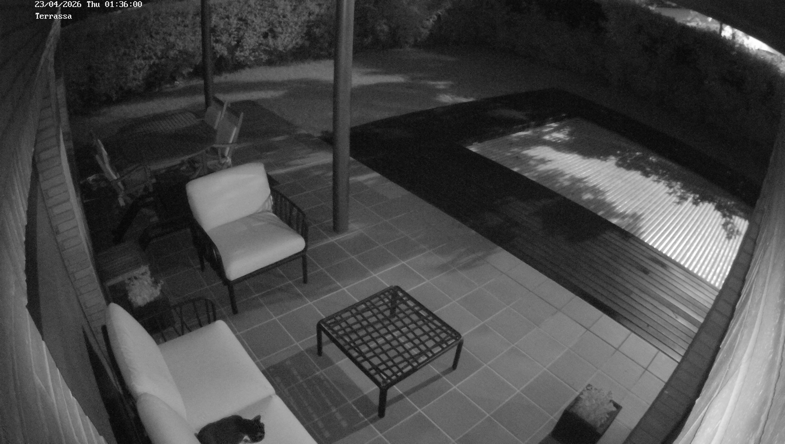 Webcam 1 Screen Capture