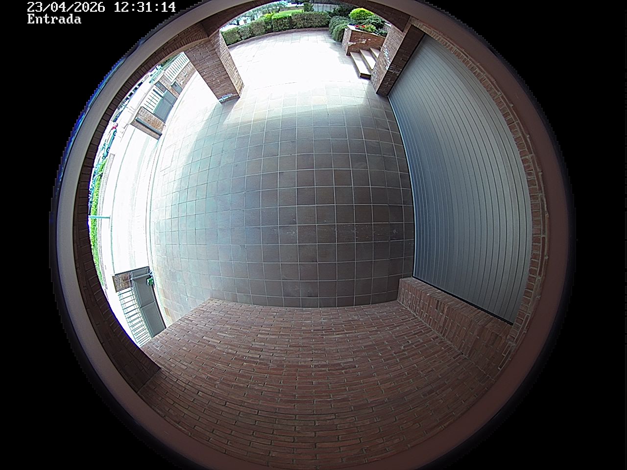 Webcam 2 Screen Capture