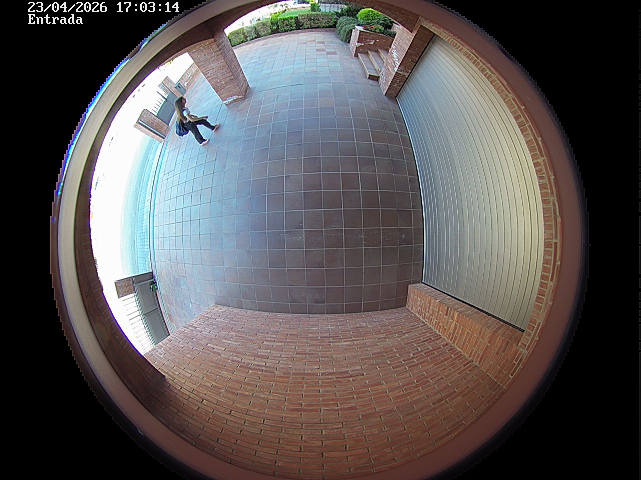 Webcam 2 Screen Capture