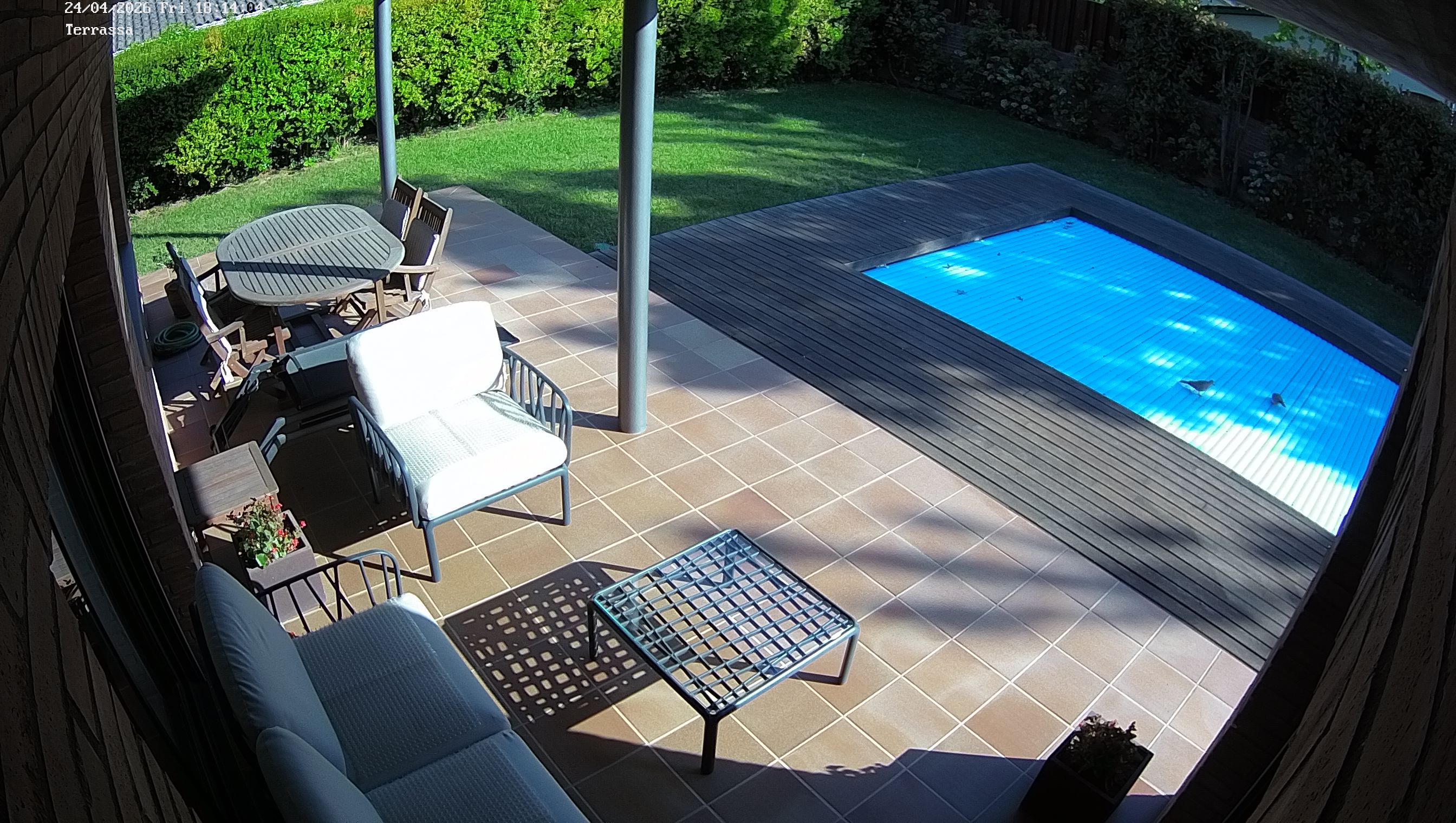 Webcam 1 Screen Capture