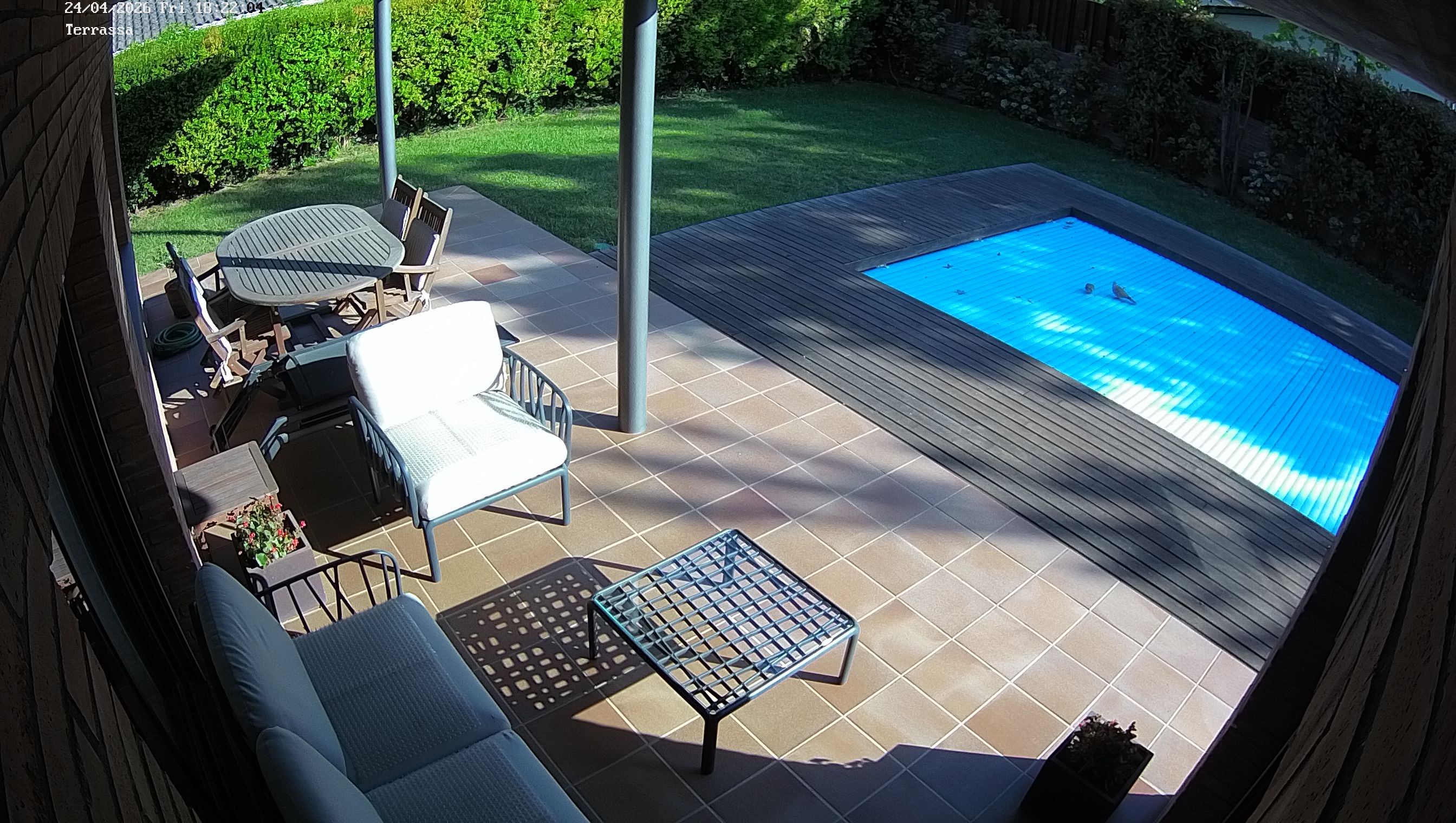 Webcam 1 Screen Capture