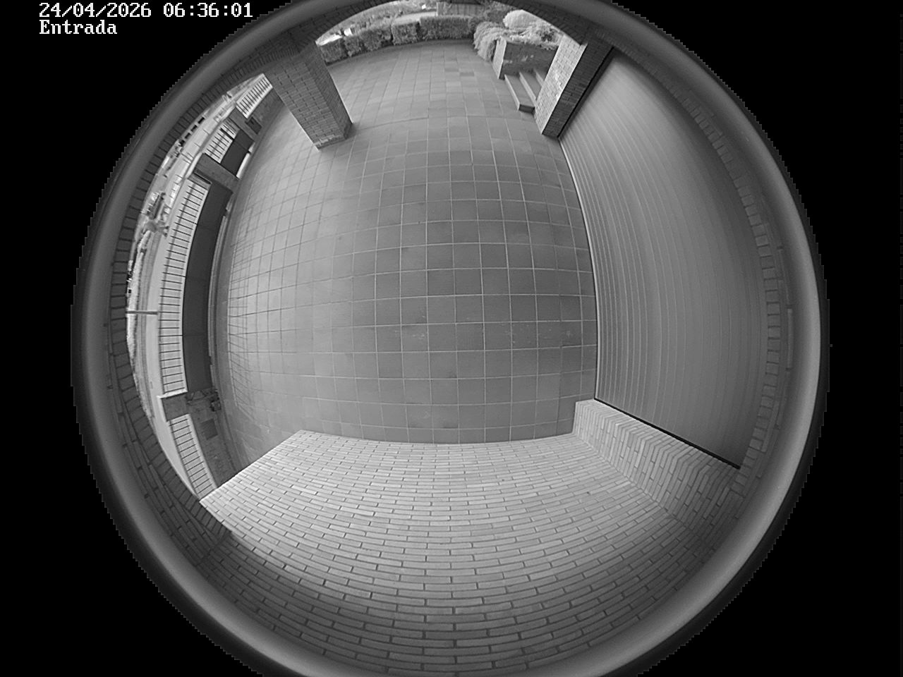 Webcam 2 Screen Capture