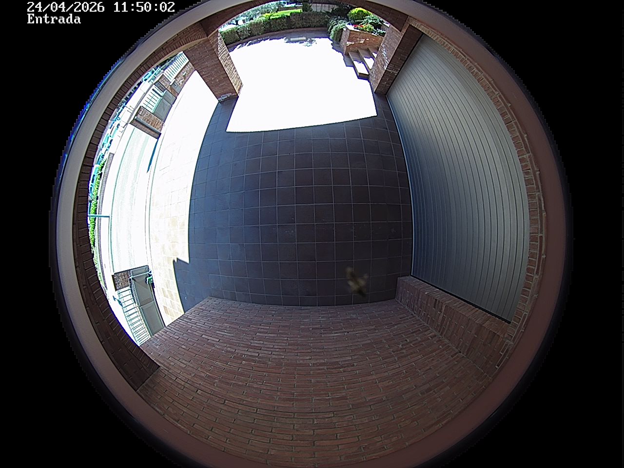 Webcam 2 Screen Capture