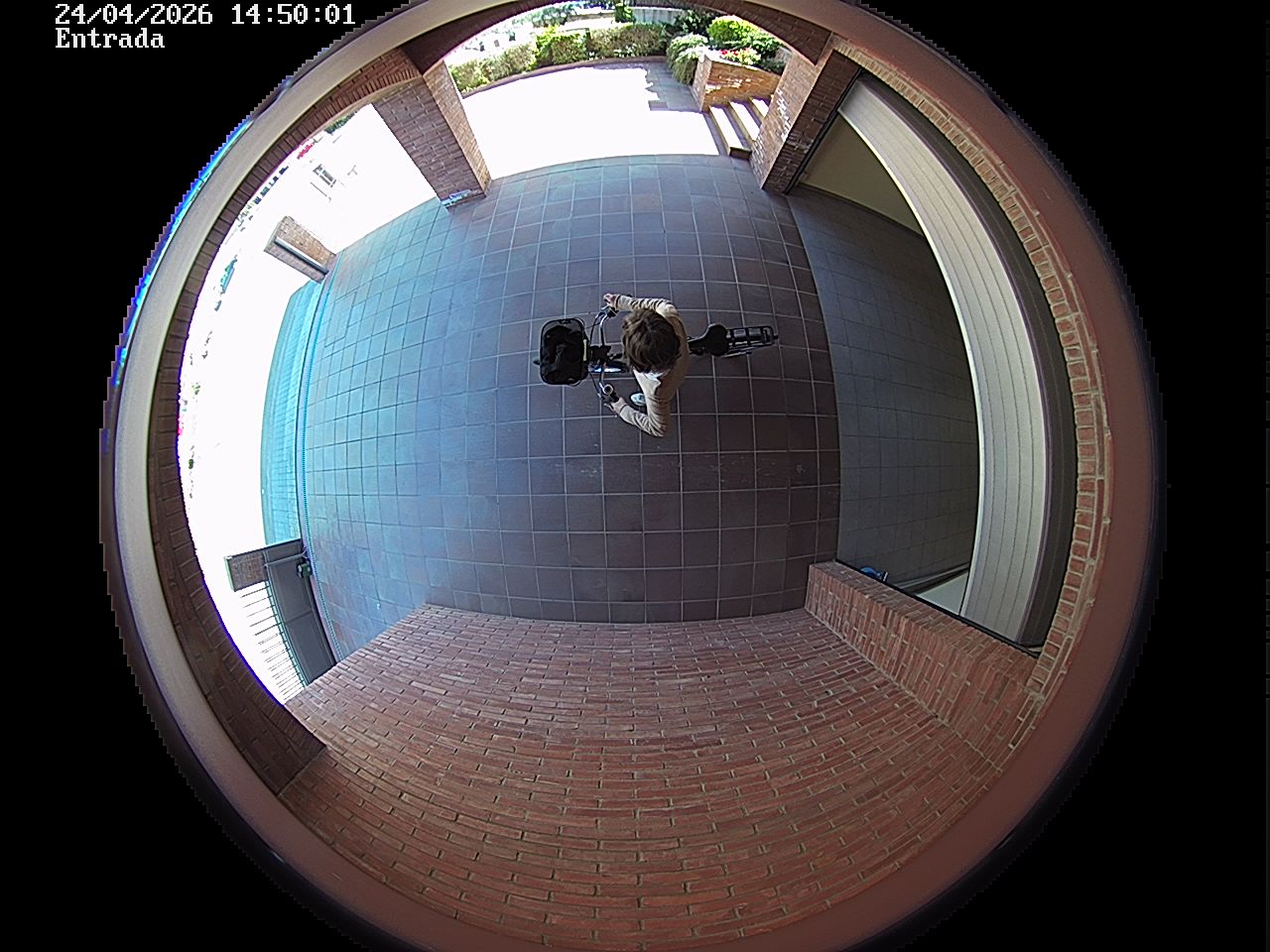 Webcam 2 Screen Capture