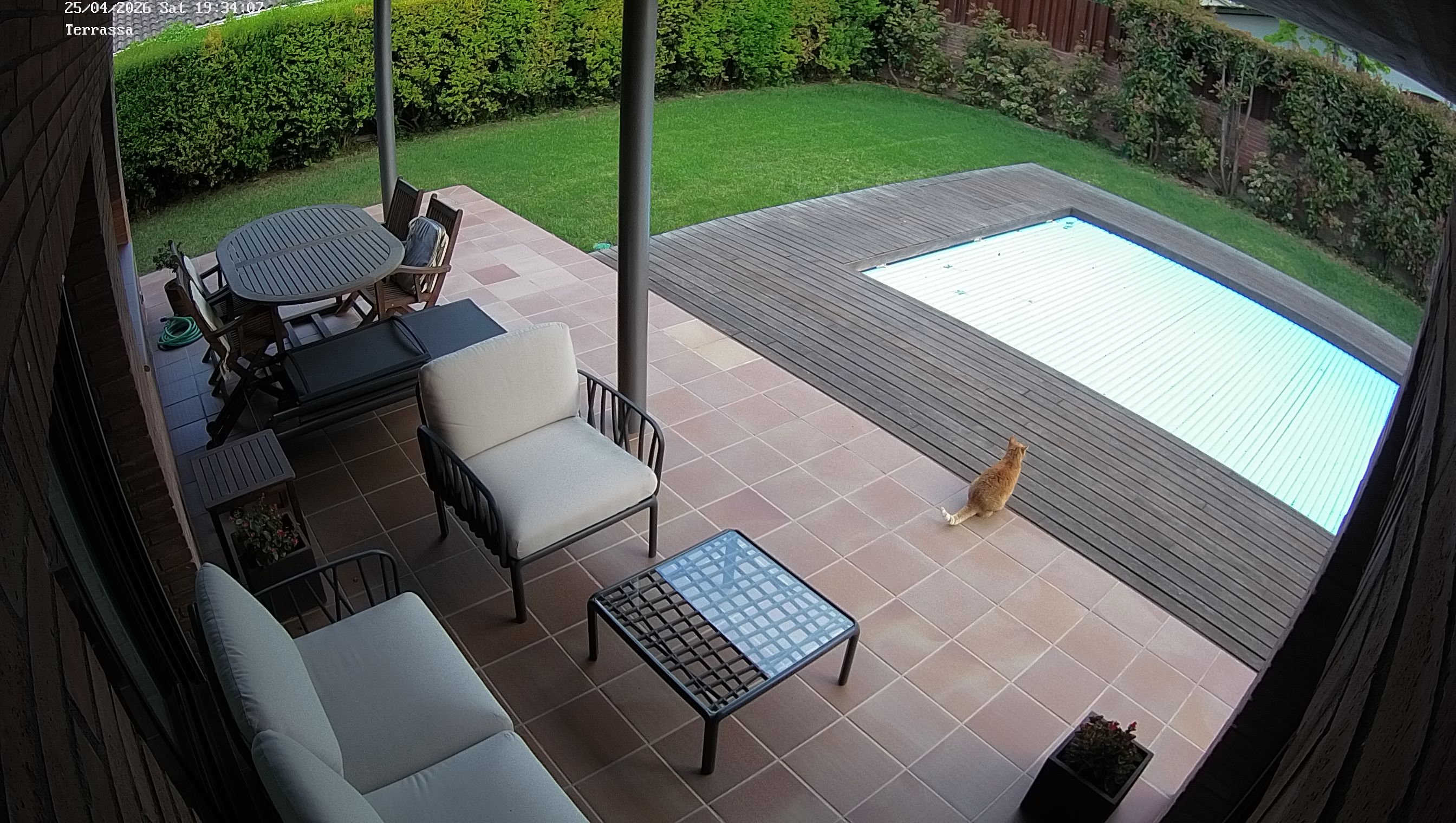 Webcam 1 Screen Capture