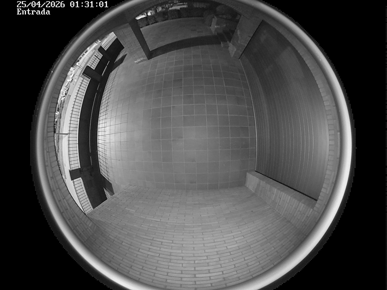 Webcam 2 Screen Capture