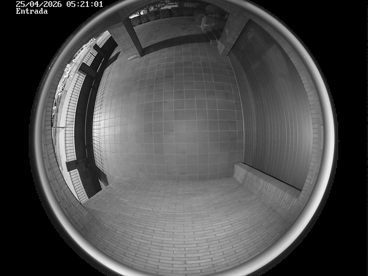 Webcam 2 Screen Capture