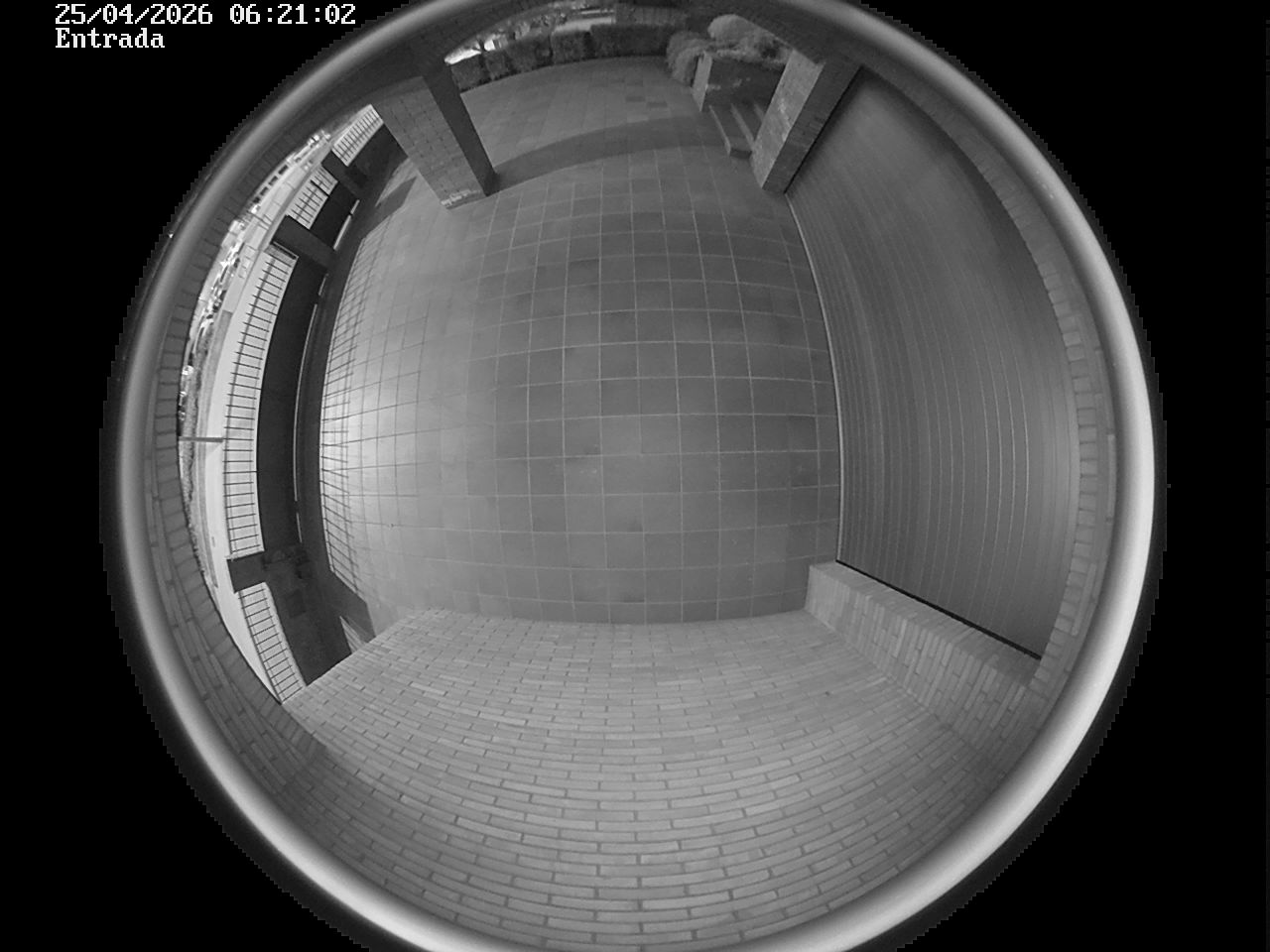 Webcam 2 Screen Capture