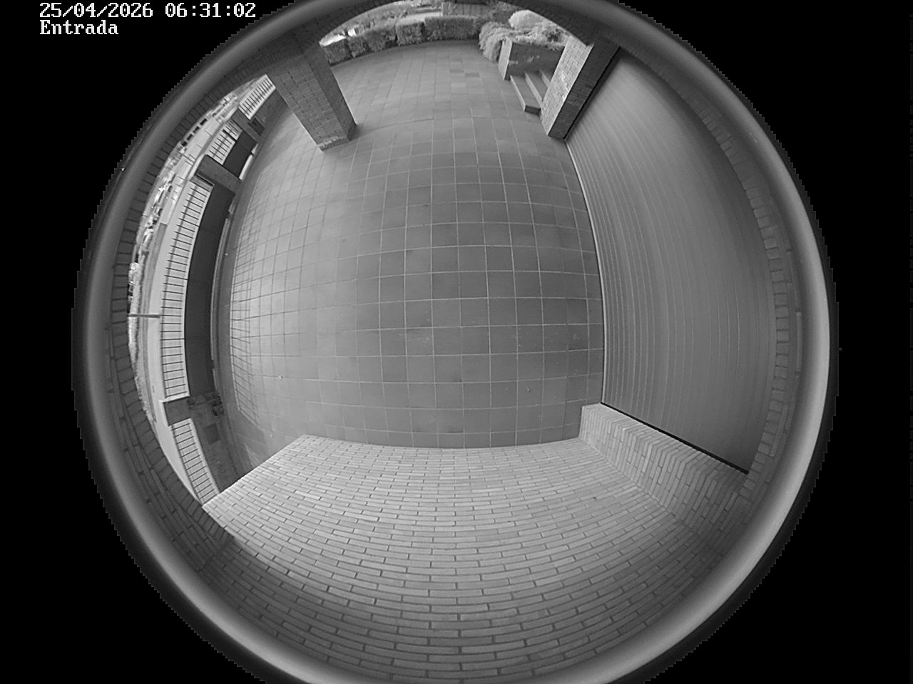 Webcam 2 Screen Capture