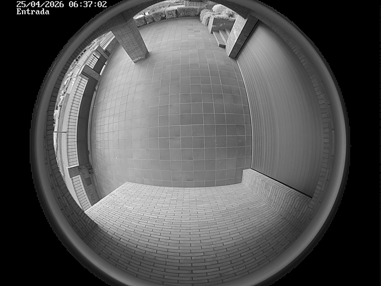 Webcam 2 Screen Capture