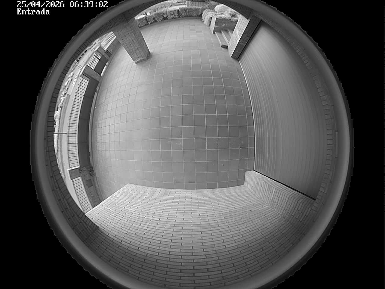 Webcam 2 Screen Capture