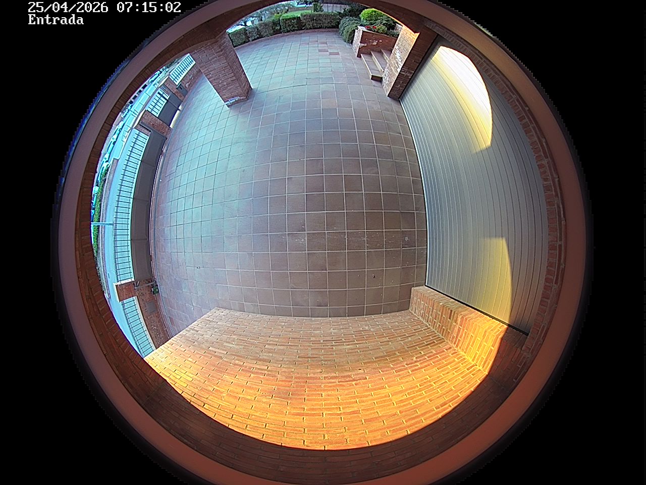 Webcam 2 Screen Capture