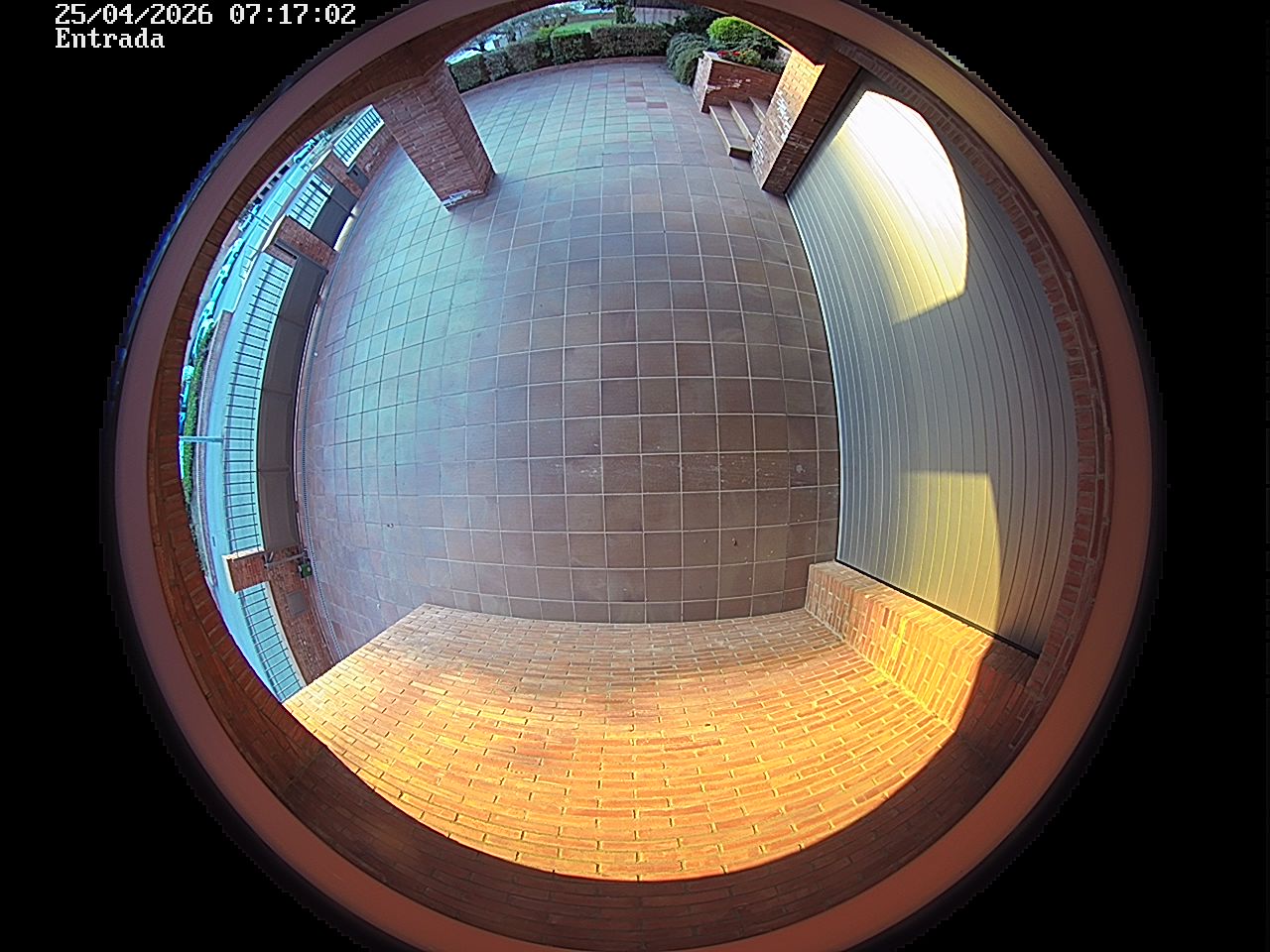 Webcam 2 Screen Capture