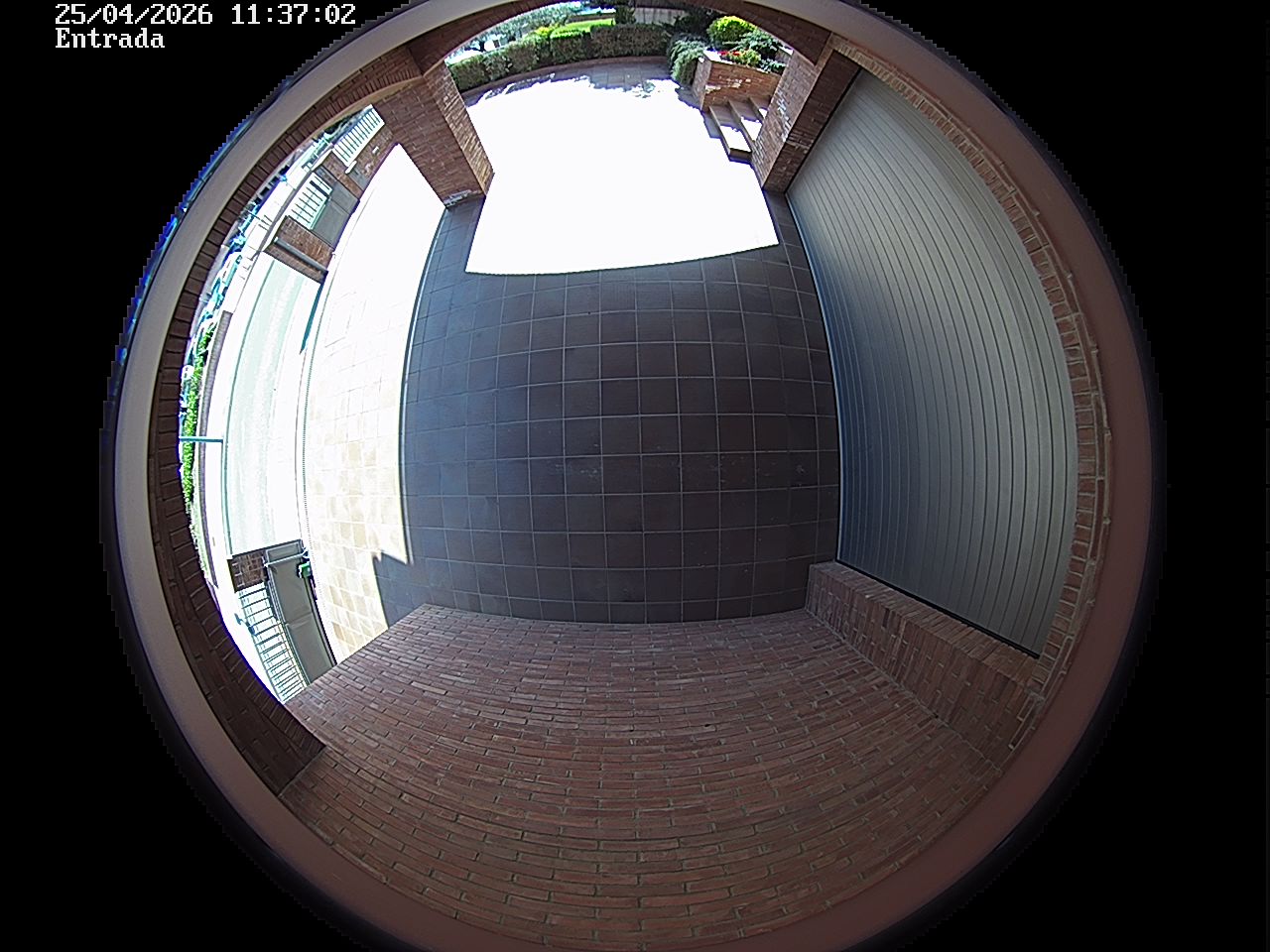 Webcam 2 Screen Capture