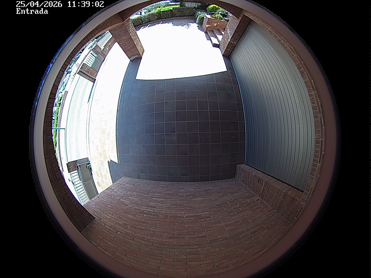 Webcam 2 Screen Capture