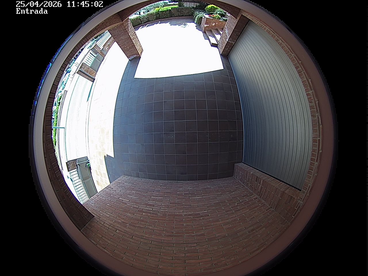 Webcam 2 Screen Capture