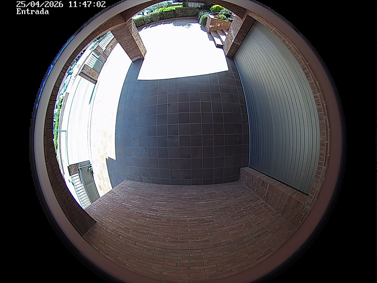 Webcam 2 Screen Capture