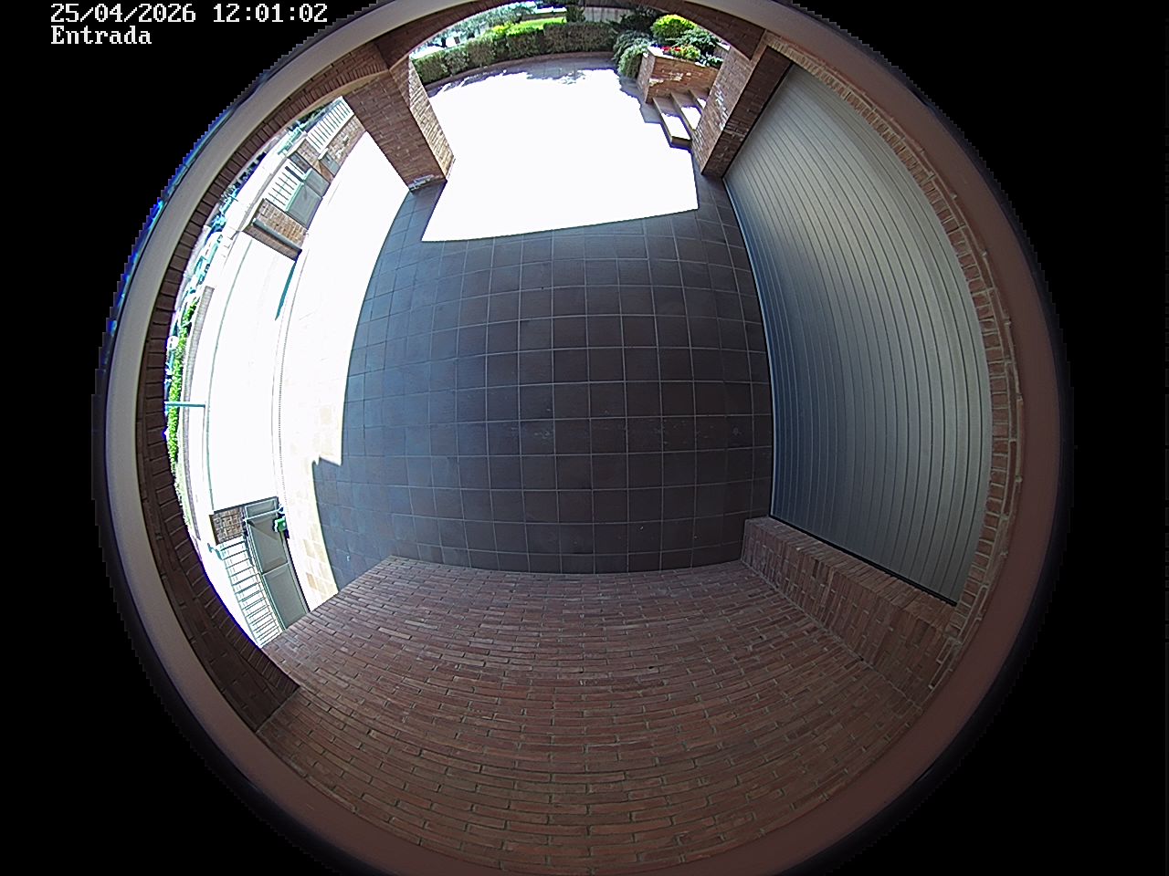 Webcam 2 Screen Capture