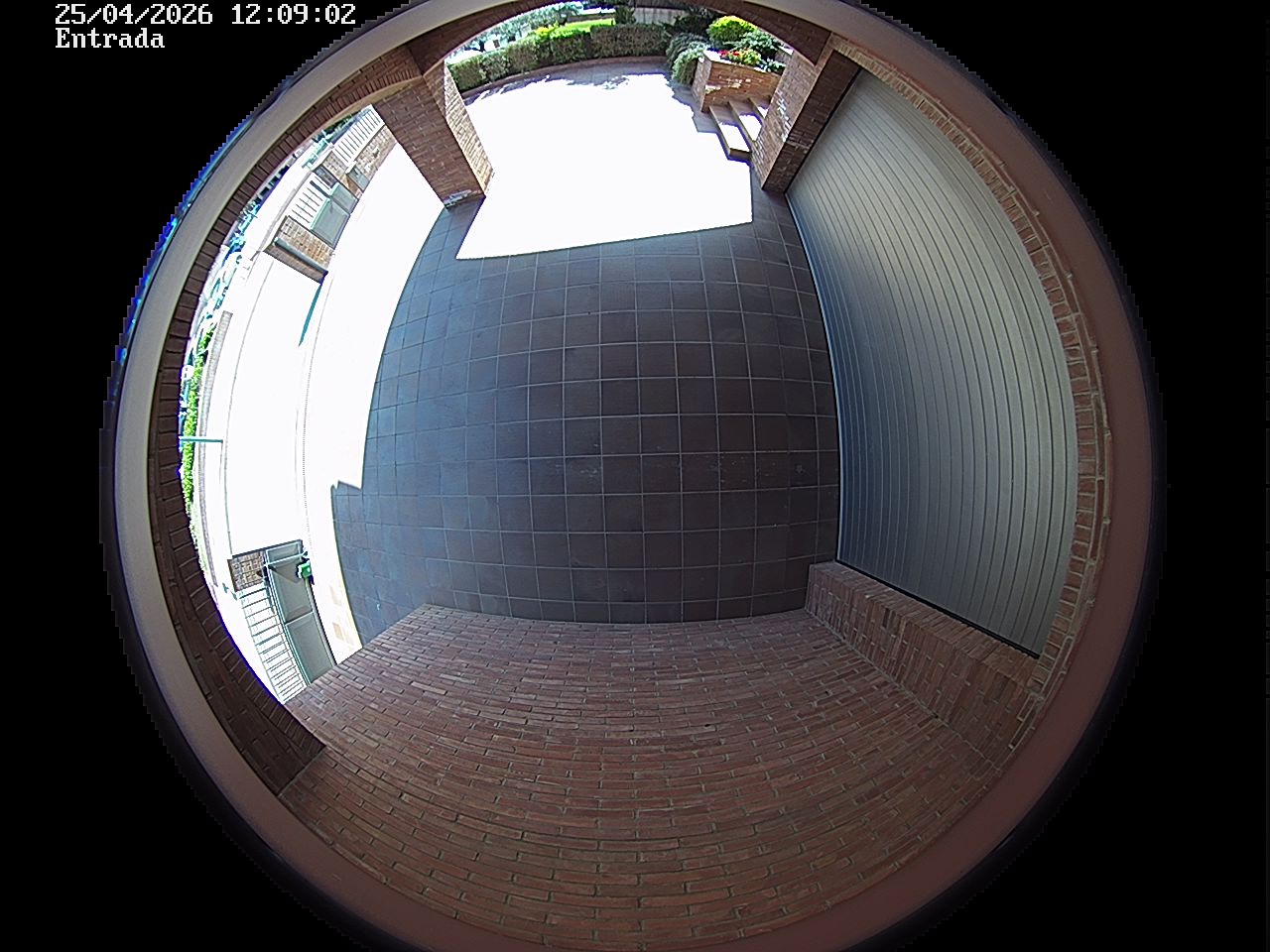 Webcam 2 Screen Capture