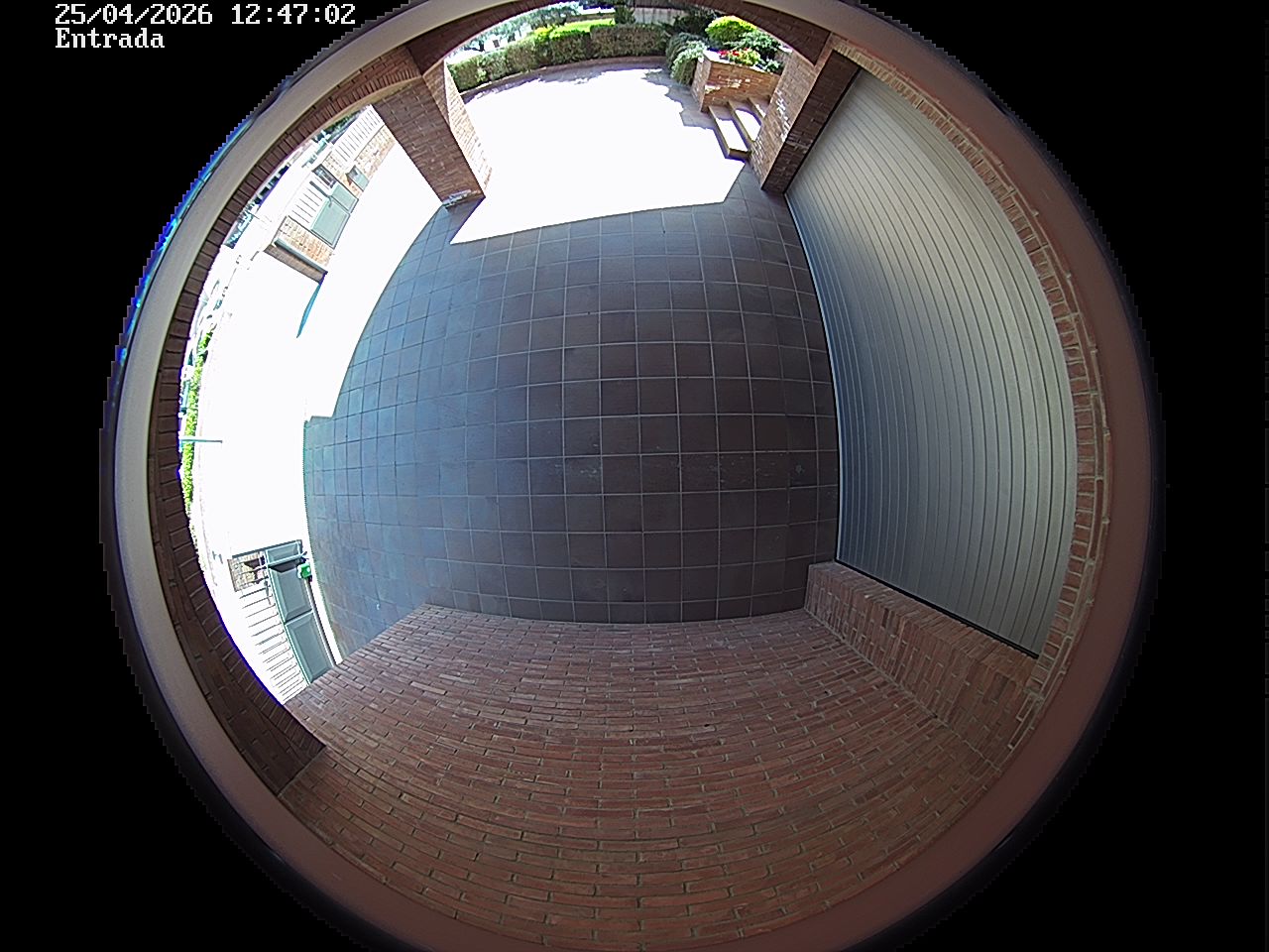 Webcam 2 Screen Capture