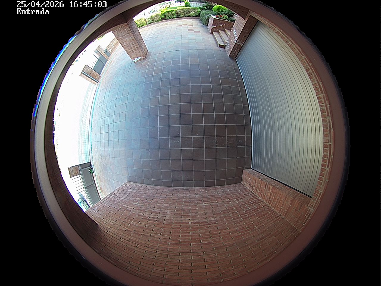 Webcam 2 Screen Capture