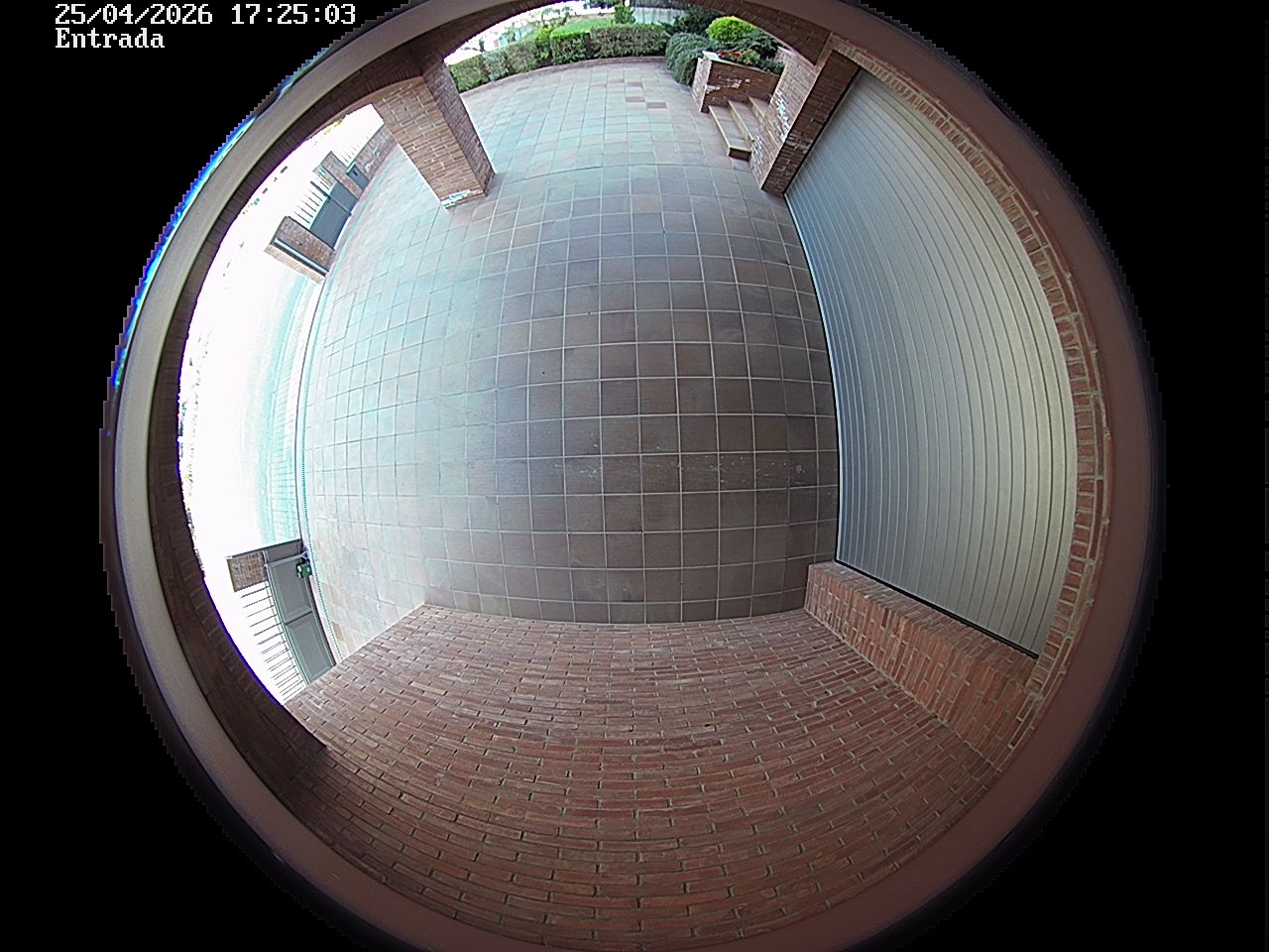 Webcam 2 Screen Capture