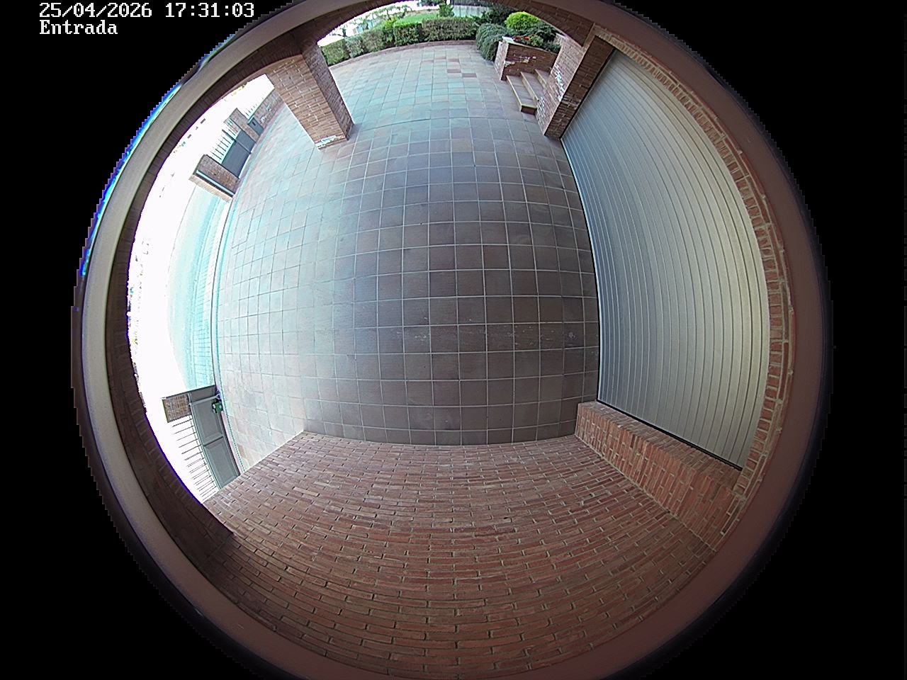 Webcam 2 Screen Capture